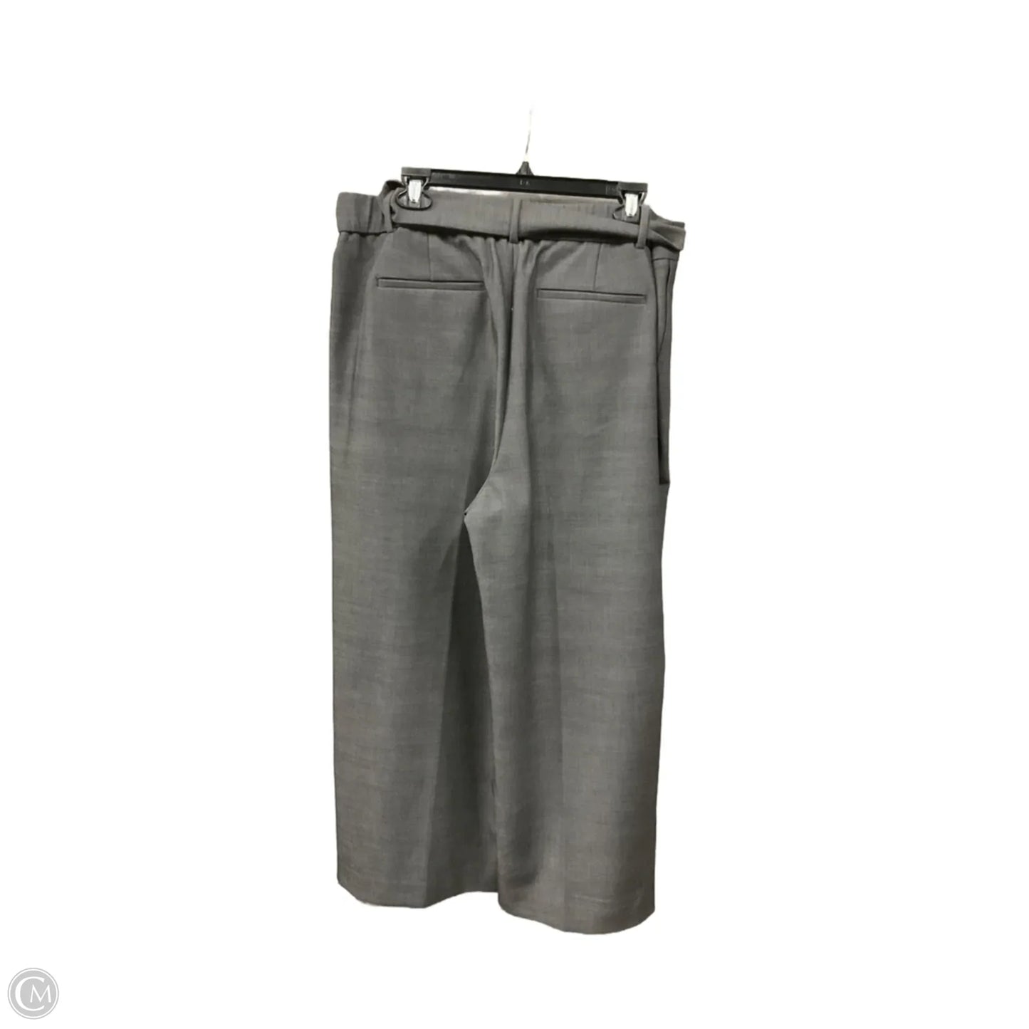 Pants Cargo & Utility By Talbots In Grey, Size: Xl