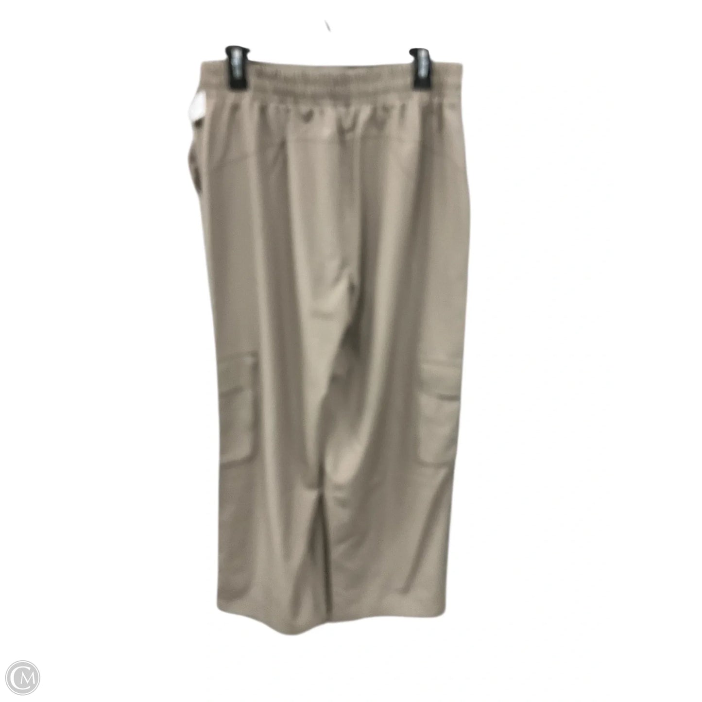 Pants Cargo & Utility By Fabletics In Tan, Size: 14