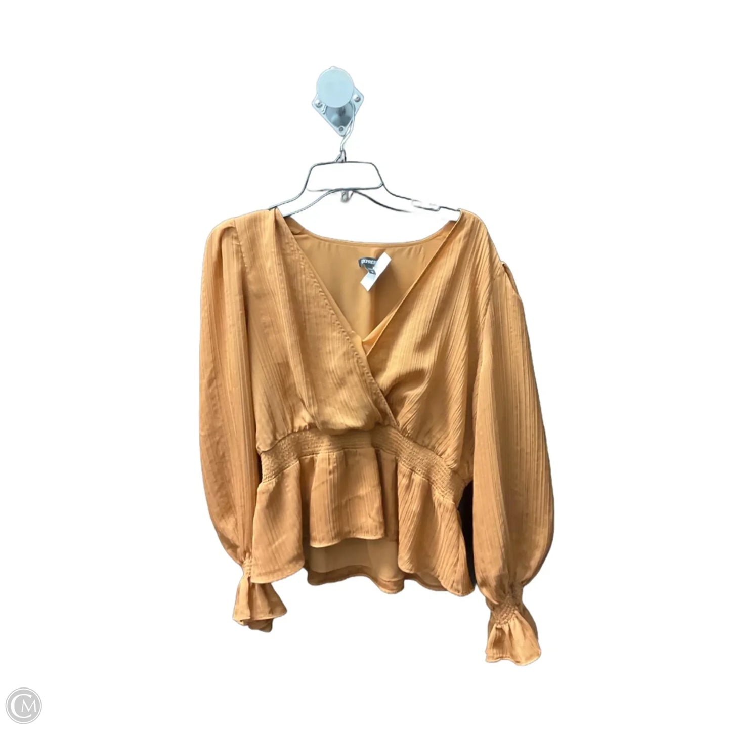 Top Long Sleeve By Express In Bronze, Size: L
