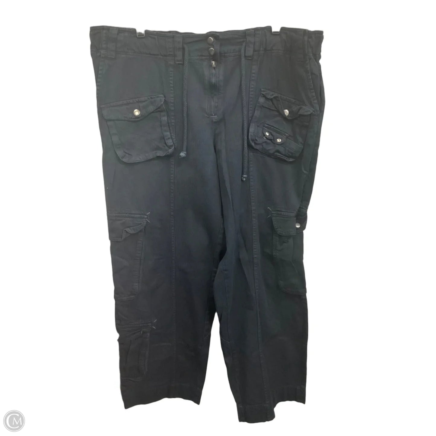 Pants Cargo & Utility By Free People In Black, Size: 16