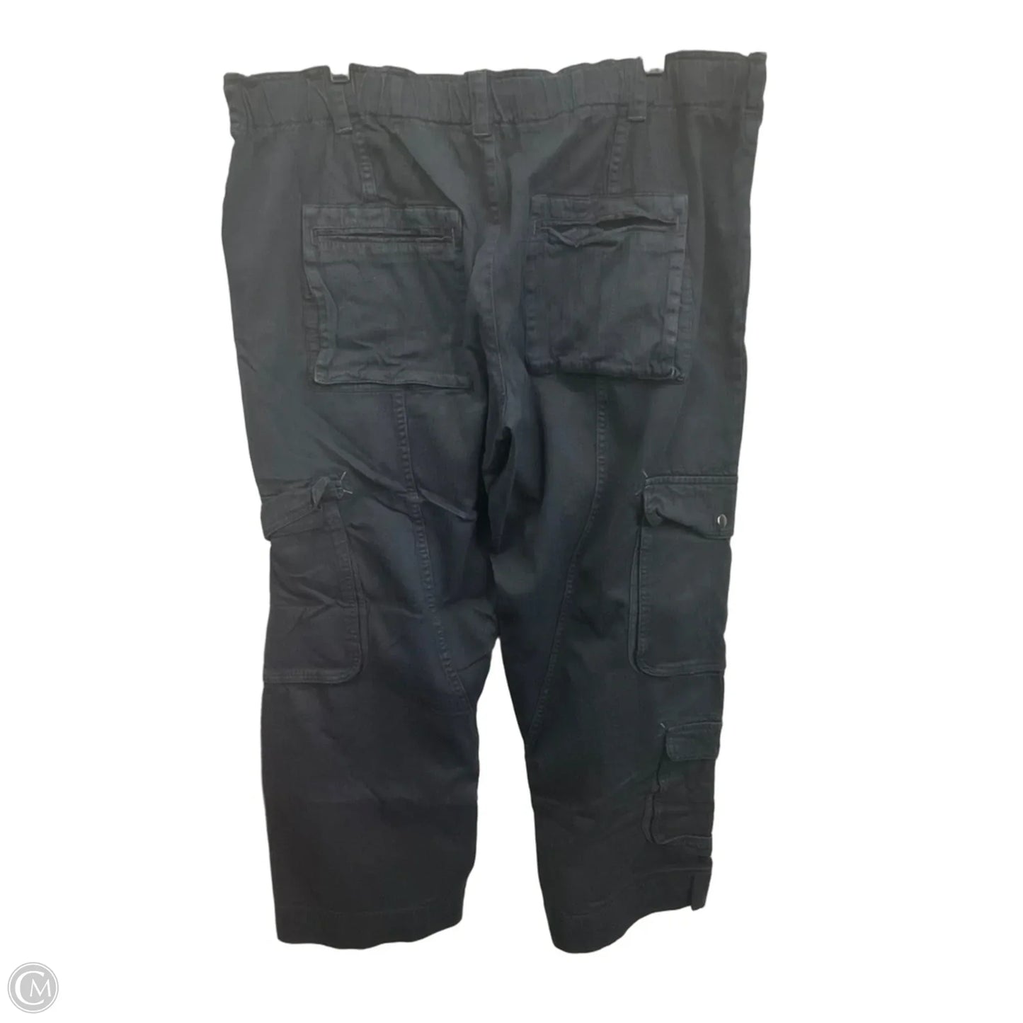 Pants Cargo & Utility By Free People In Black, Size: 16