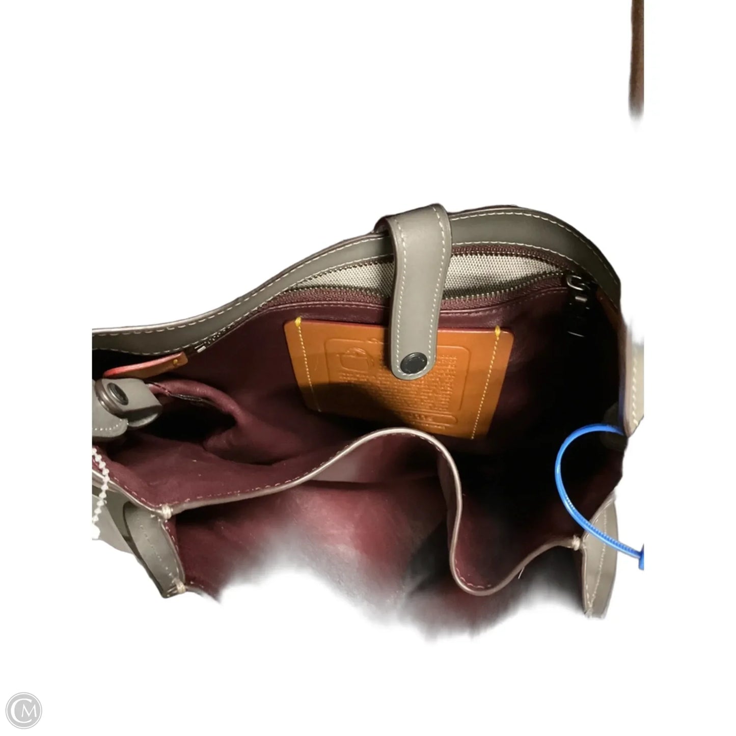 Crossbody Designer By Coach, Size: Medium