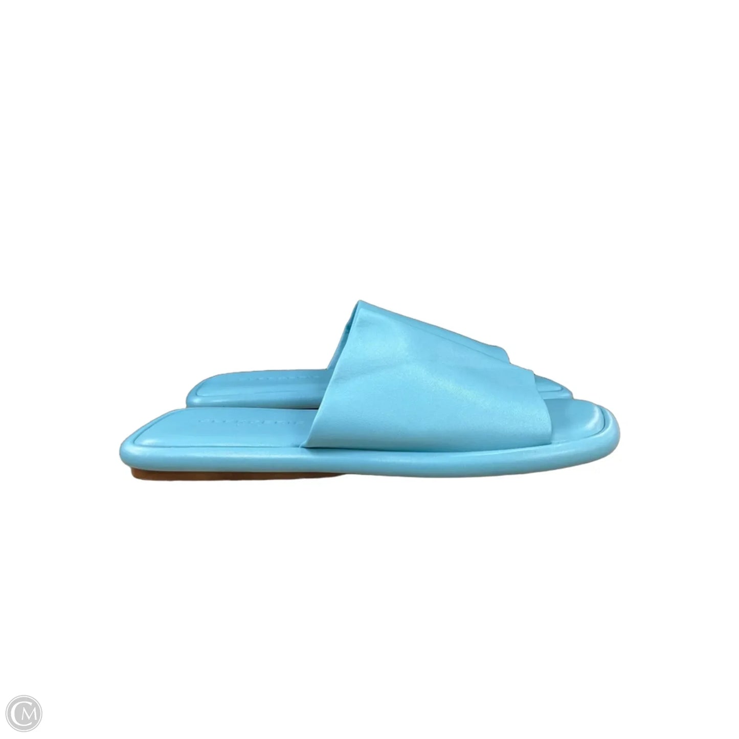 Sandals Flats By Cma In Blue, Size: 7