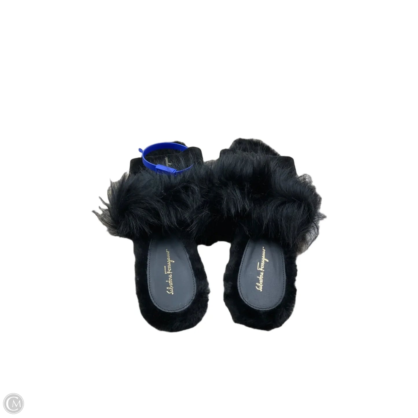 Shoes Luxury Designer By Ferragamo In Black, Size: 8