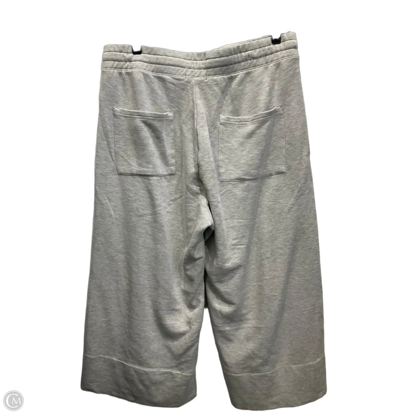 Athletic Pants By Quince In Grey, Size: L