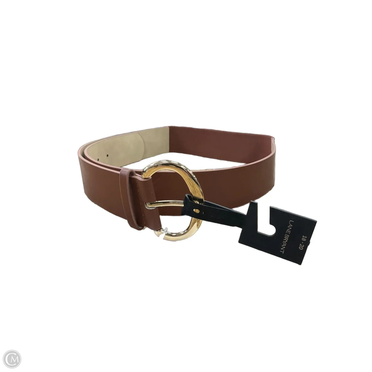 Belt By Lane Bryant, Size: Xlarge