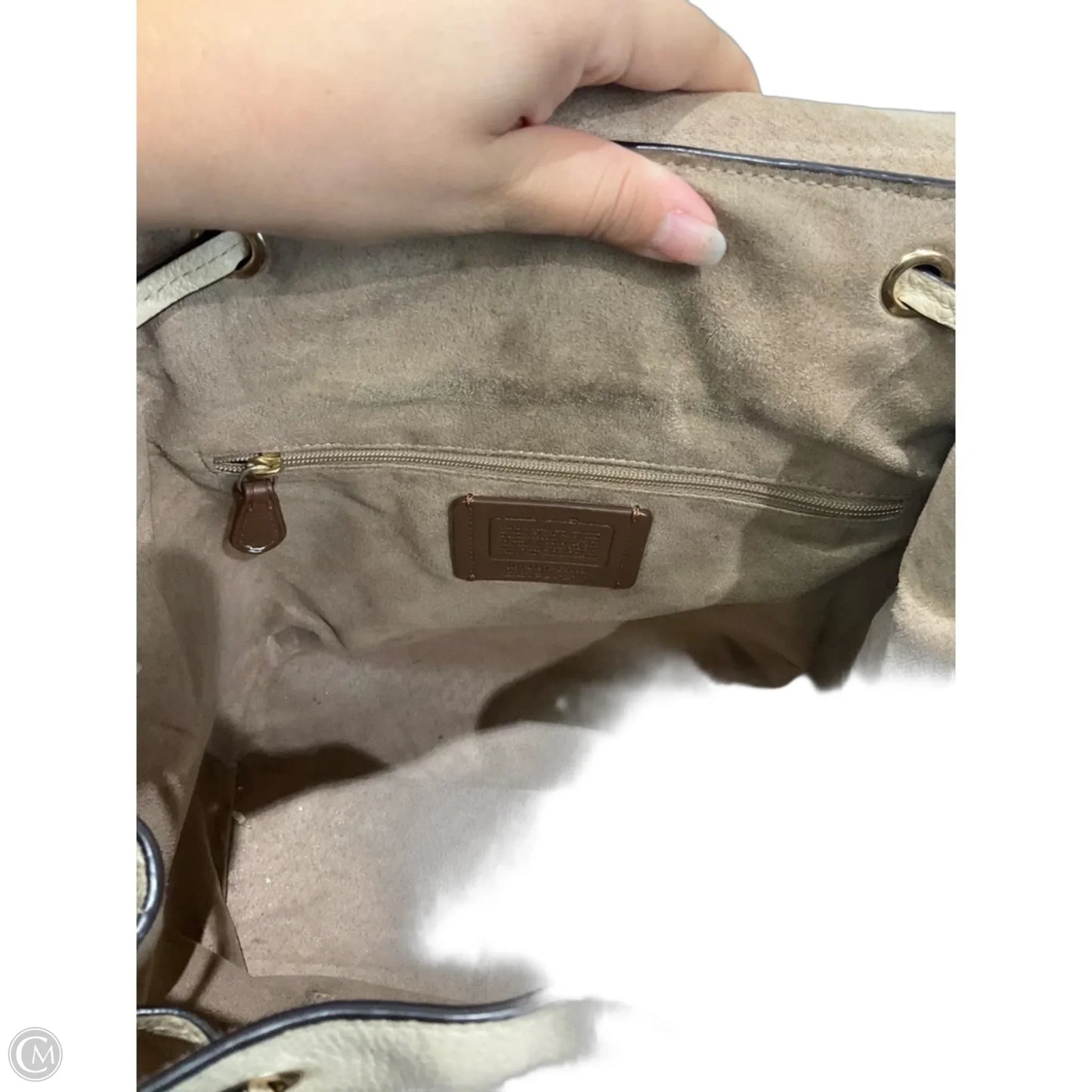 Backpack Designer By Coach, Size: Medium