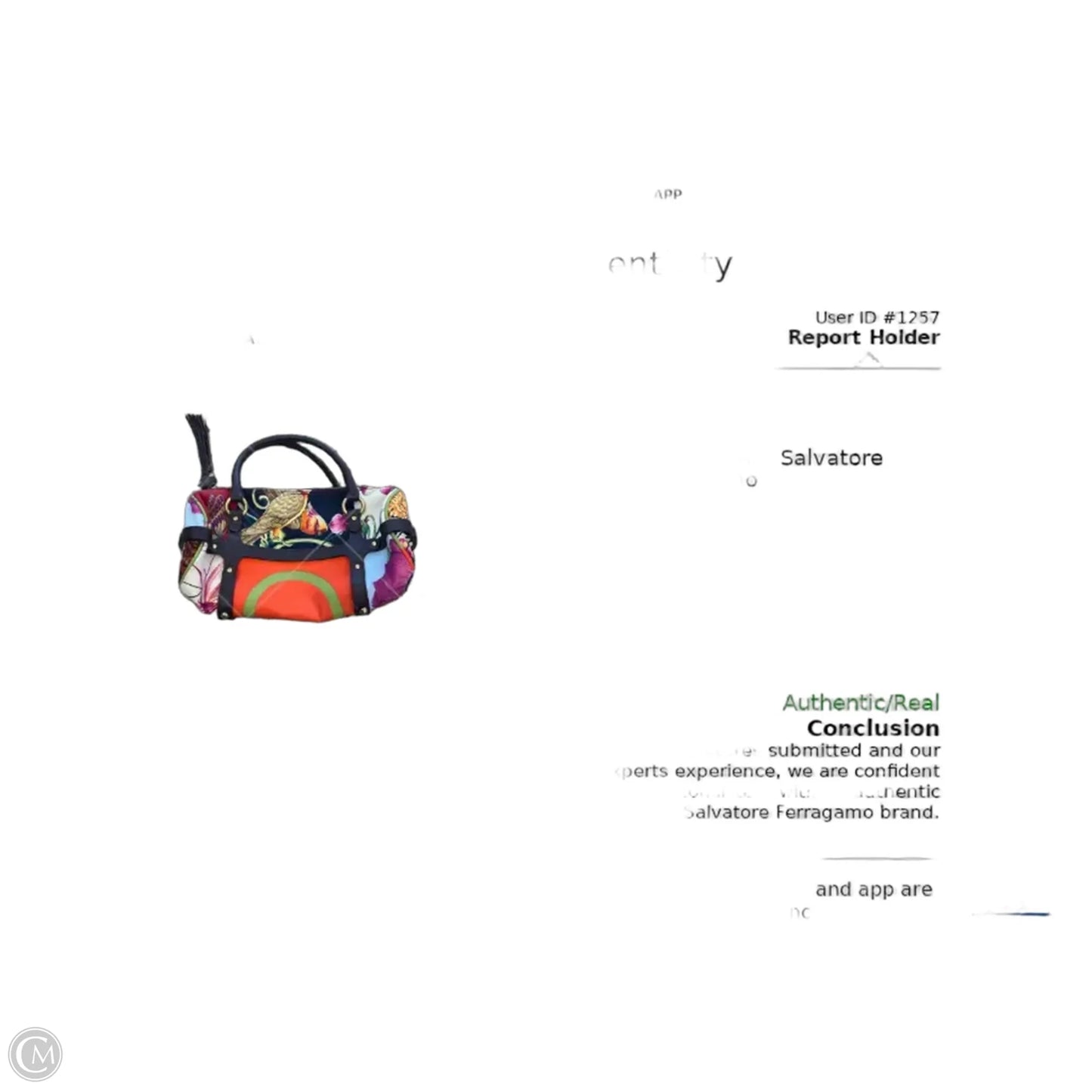 Handbag Luxury Designer By Ferragamo, Size: Small