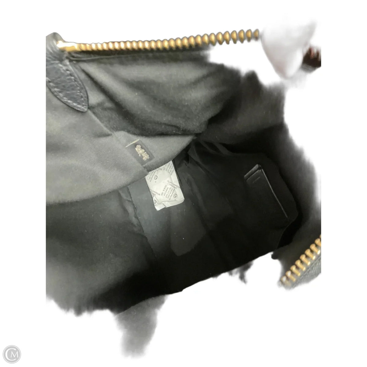 Crossbody Designer By Coach, Size: Large