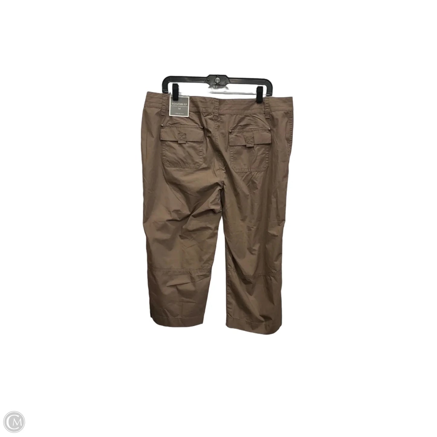 Capris By Ann Taylor In Brown, Size: 14