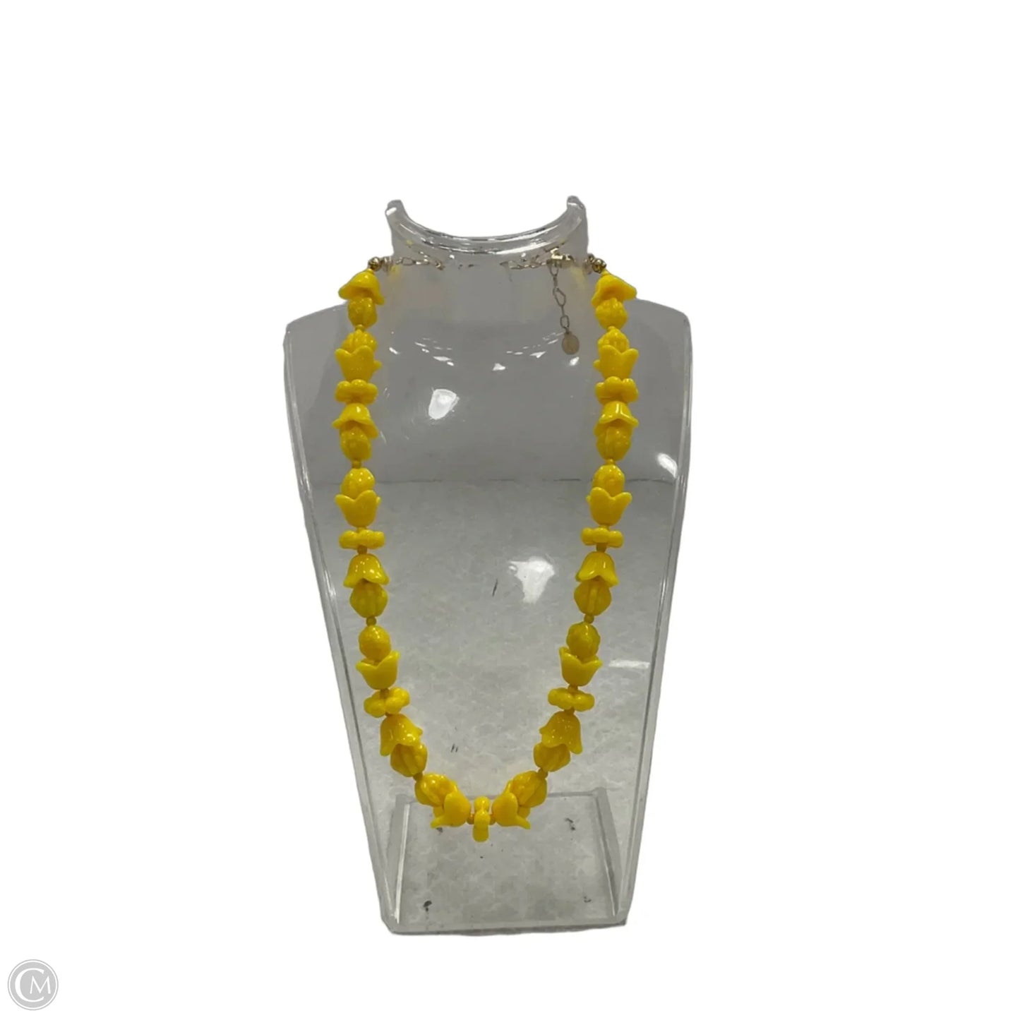 Necklace Choker & Collar By Clare V.
