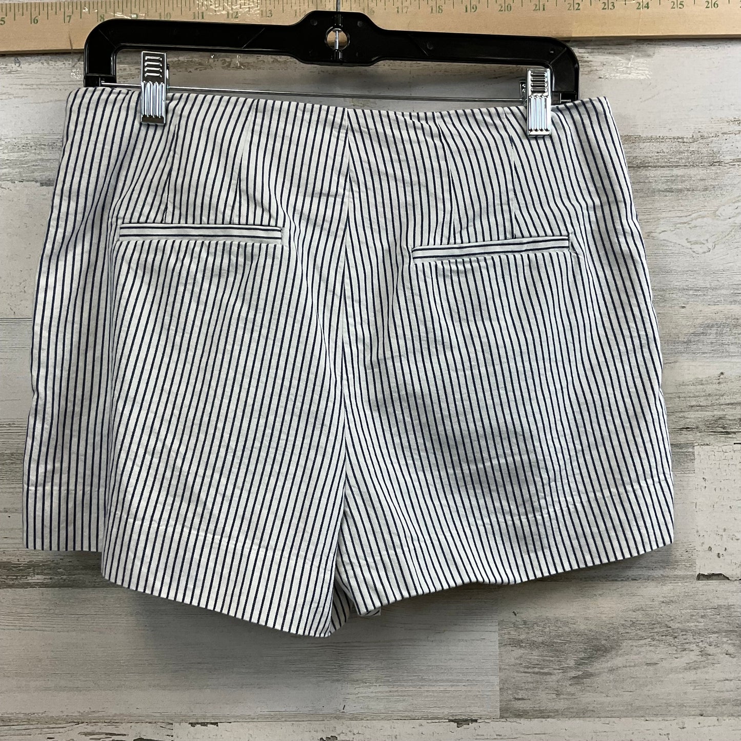 Blue & White Shorts Loft, Size 4