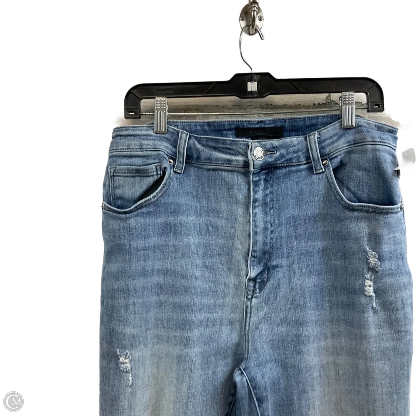 Jeans Straight By Risen In Blue Denim, Size: 1x