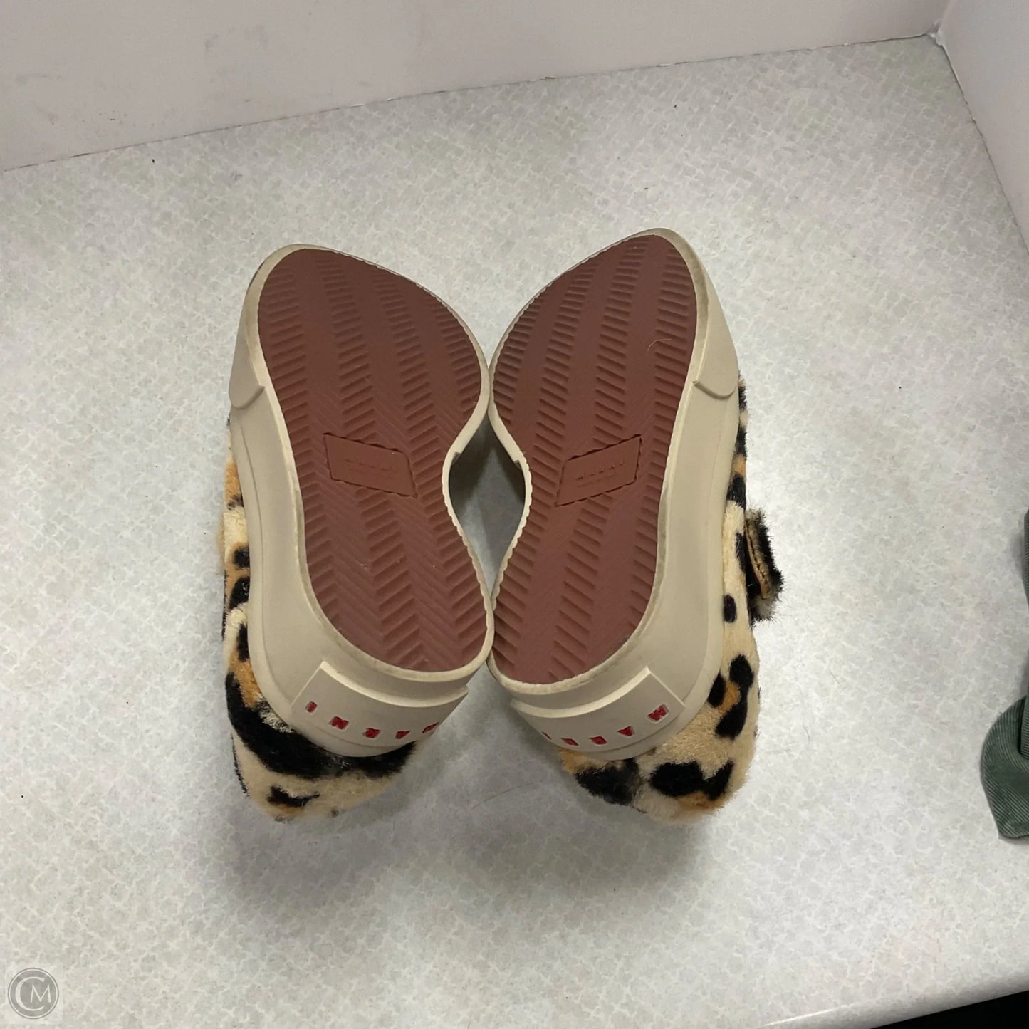 Shoes Designer By Marni In Animal Print, Size: 7