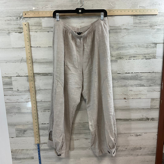 Pants Other By Focus  Size: Xl