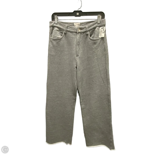 Pants Other By Rag & Bone Jeans In Grey, Size: M