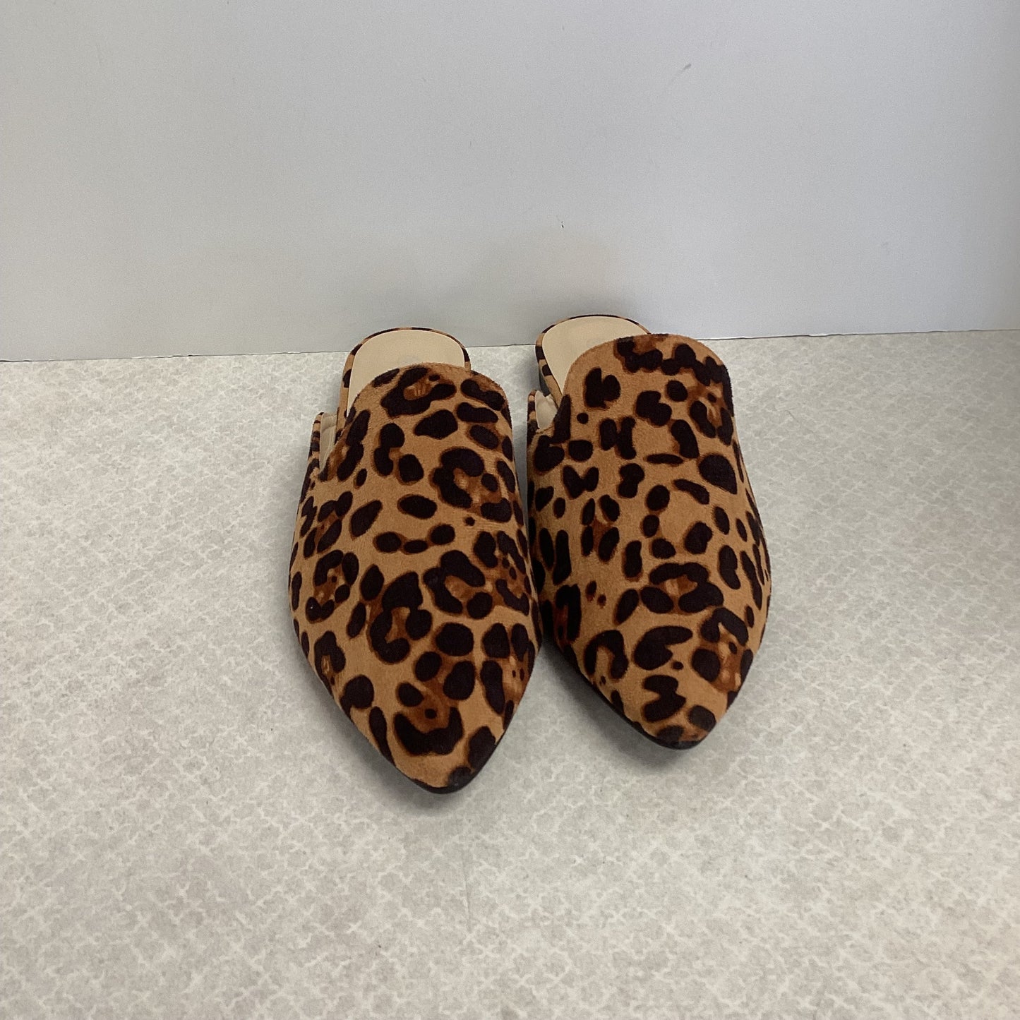 Shoes Flats By MUSSHOE In Animal Print, Size: 8