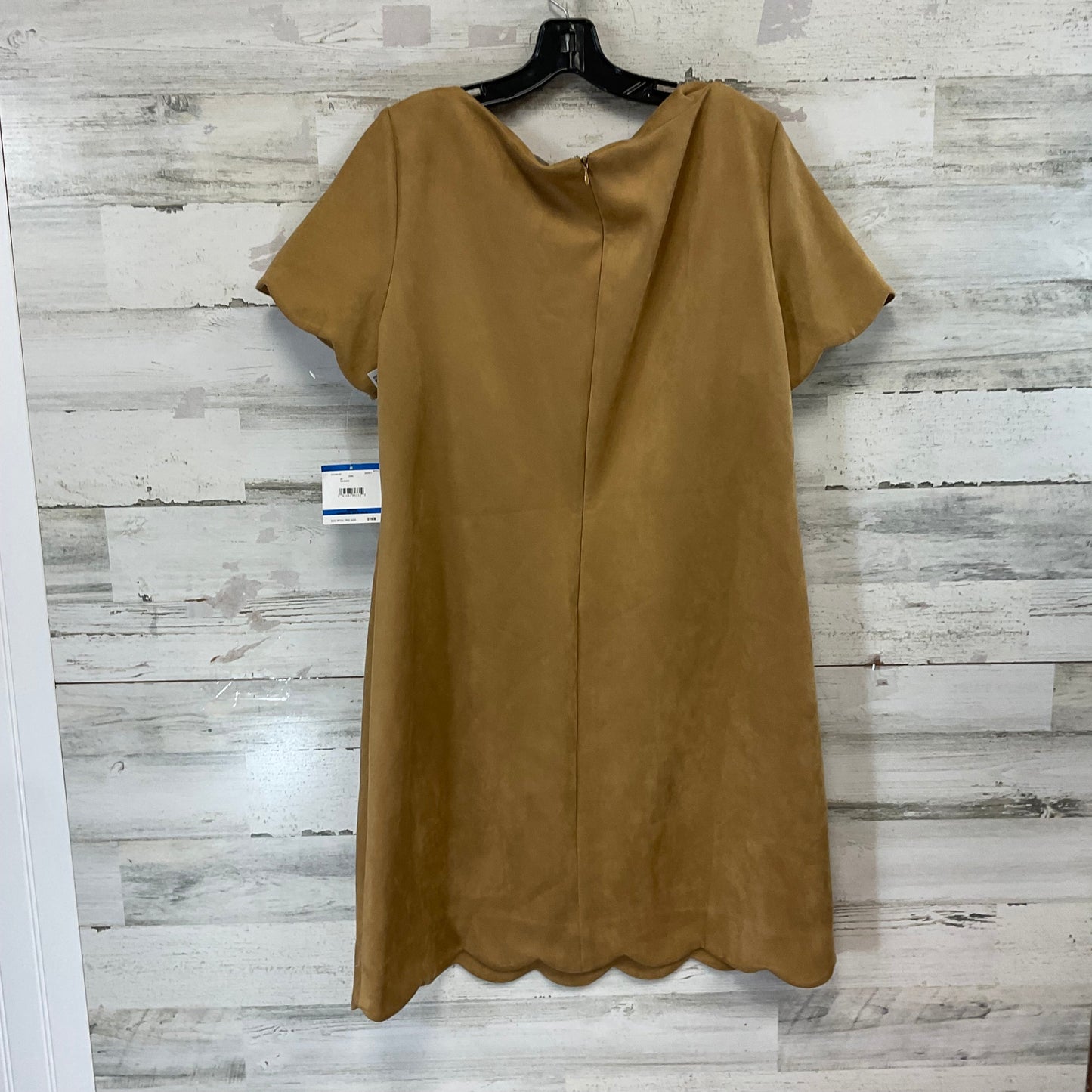 Dress Casual Short By Anne Klein In Brown, Size: Xl