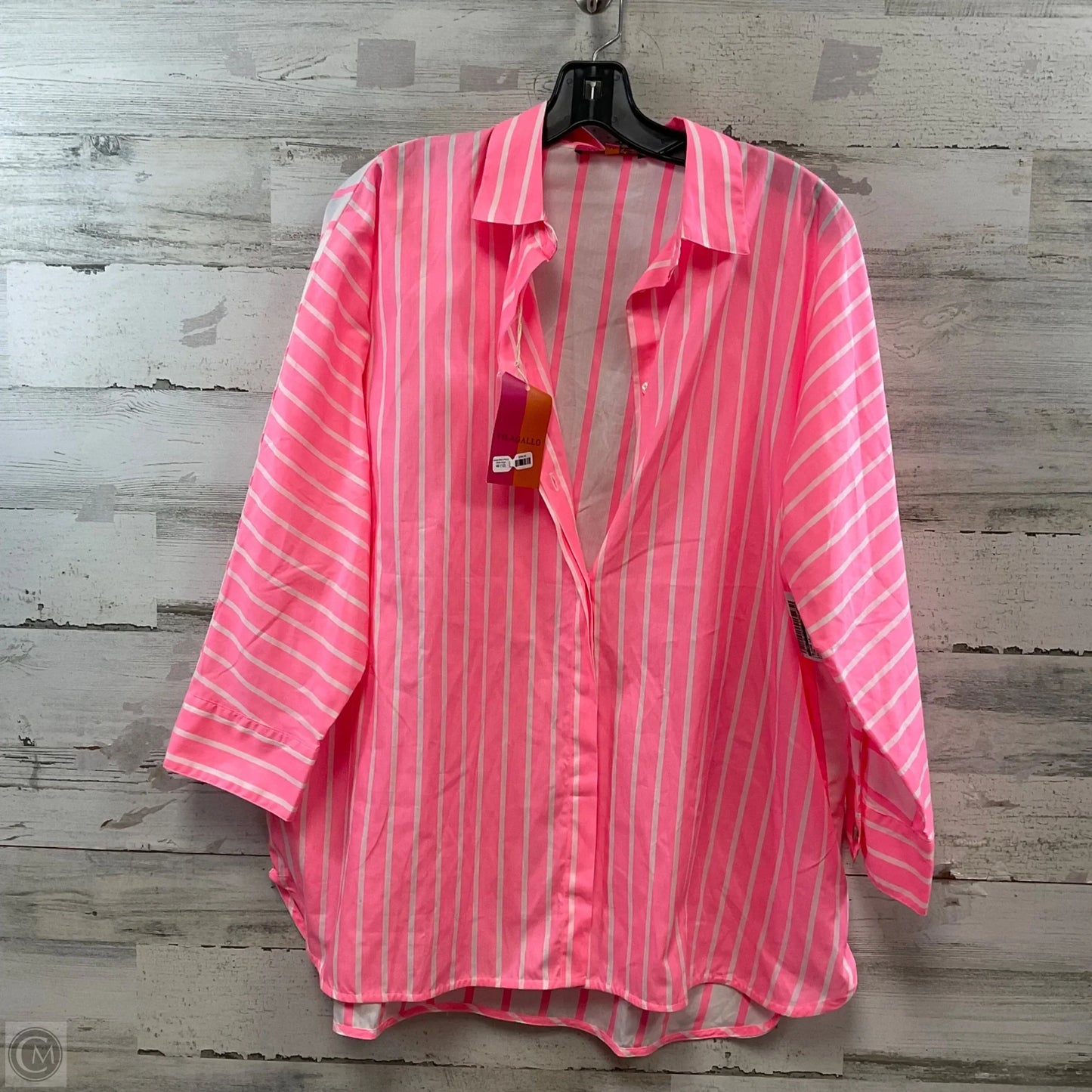 Blouse Long Sleeve By VILLAGALLO In Pink, Size: L