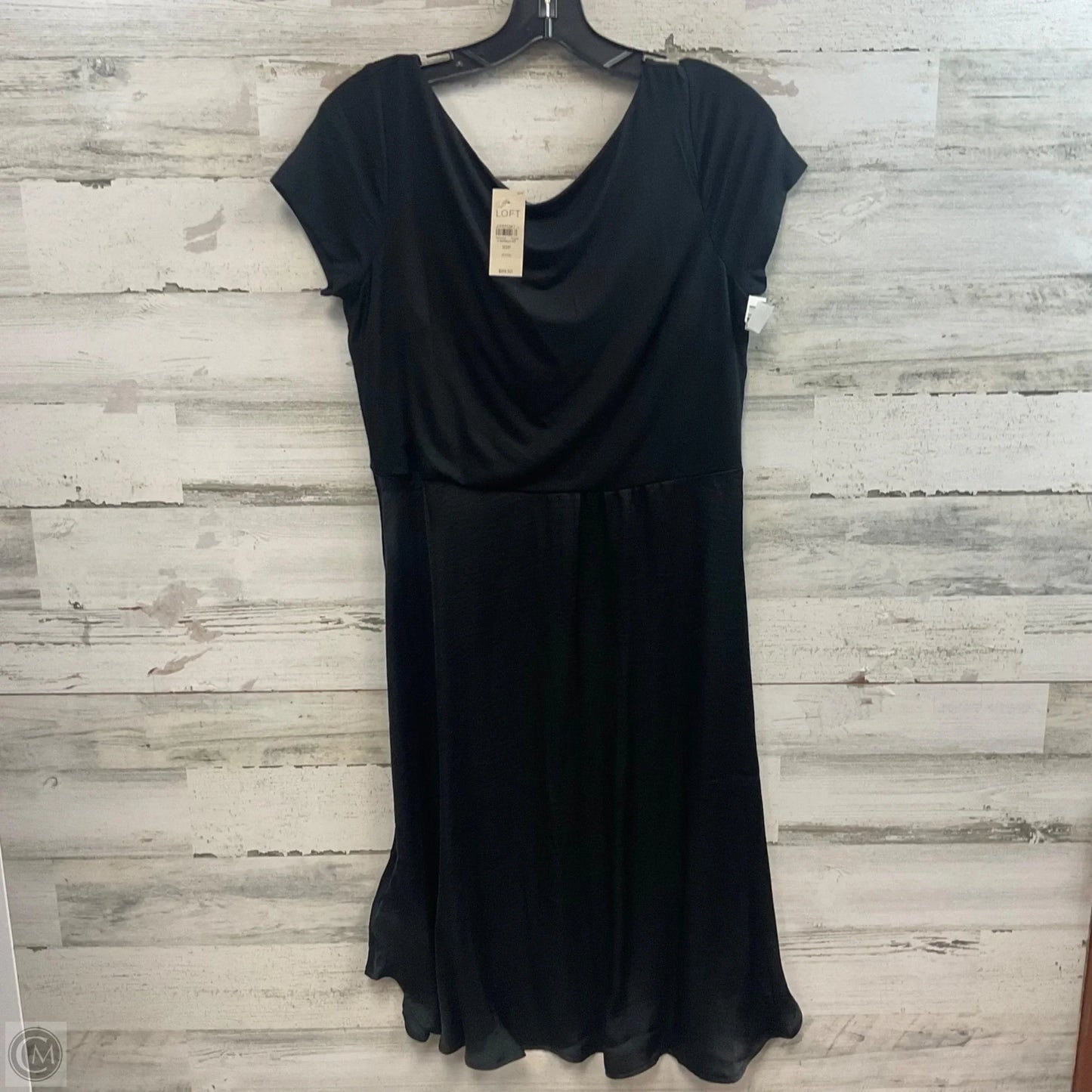 Dress Casual Short By Loft In Black, Size: Mp