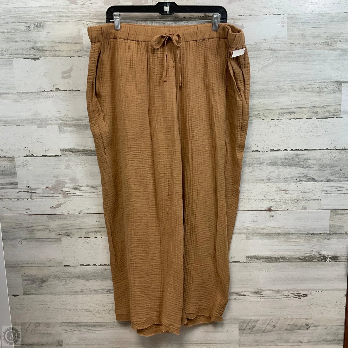 Pants Other By Eileen Fisher In Brown, Size: 1x