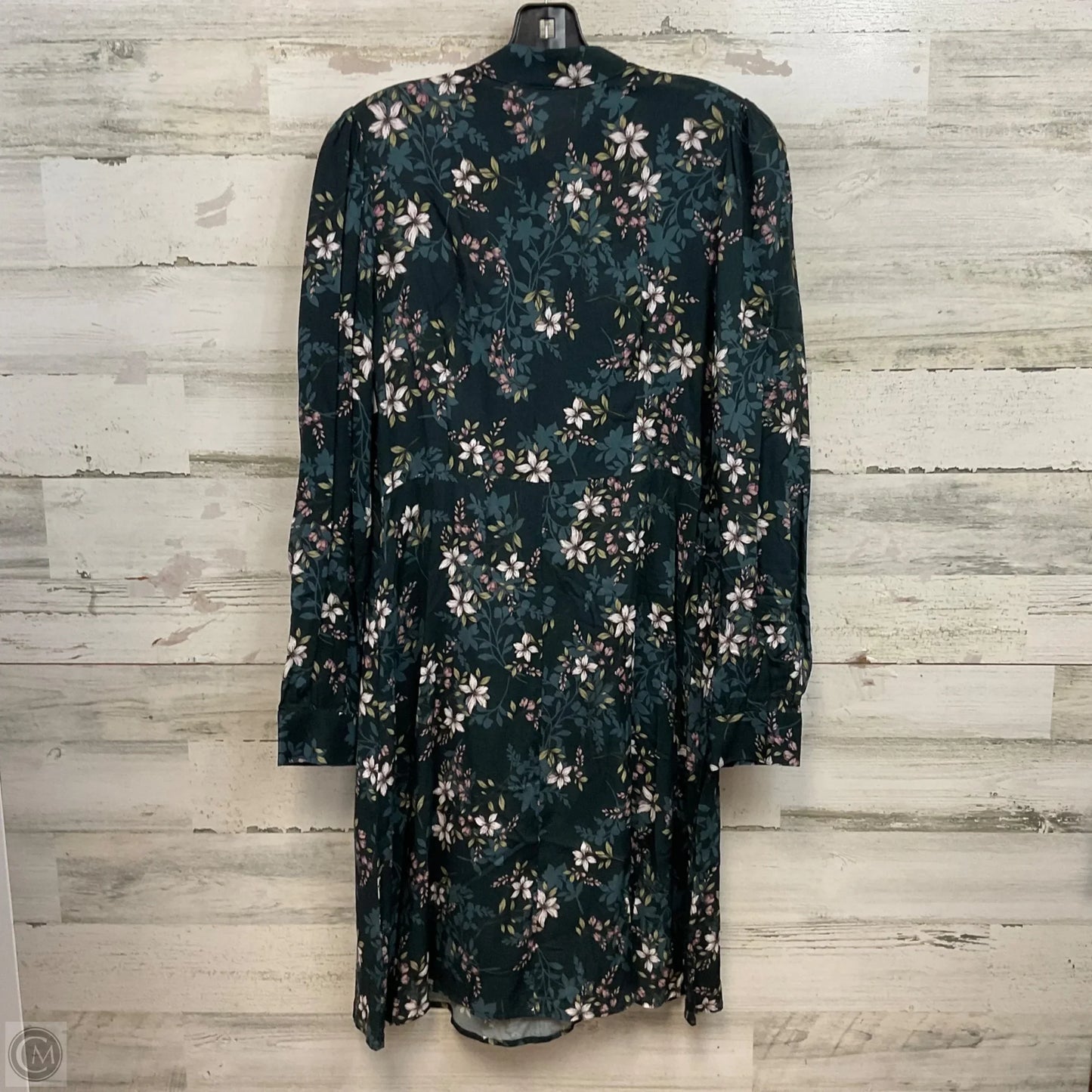 Dress Casual Short By Velvet By Graham & Spencer In Black, Size: M