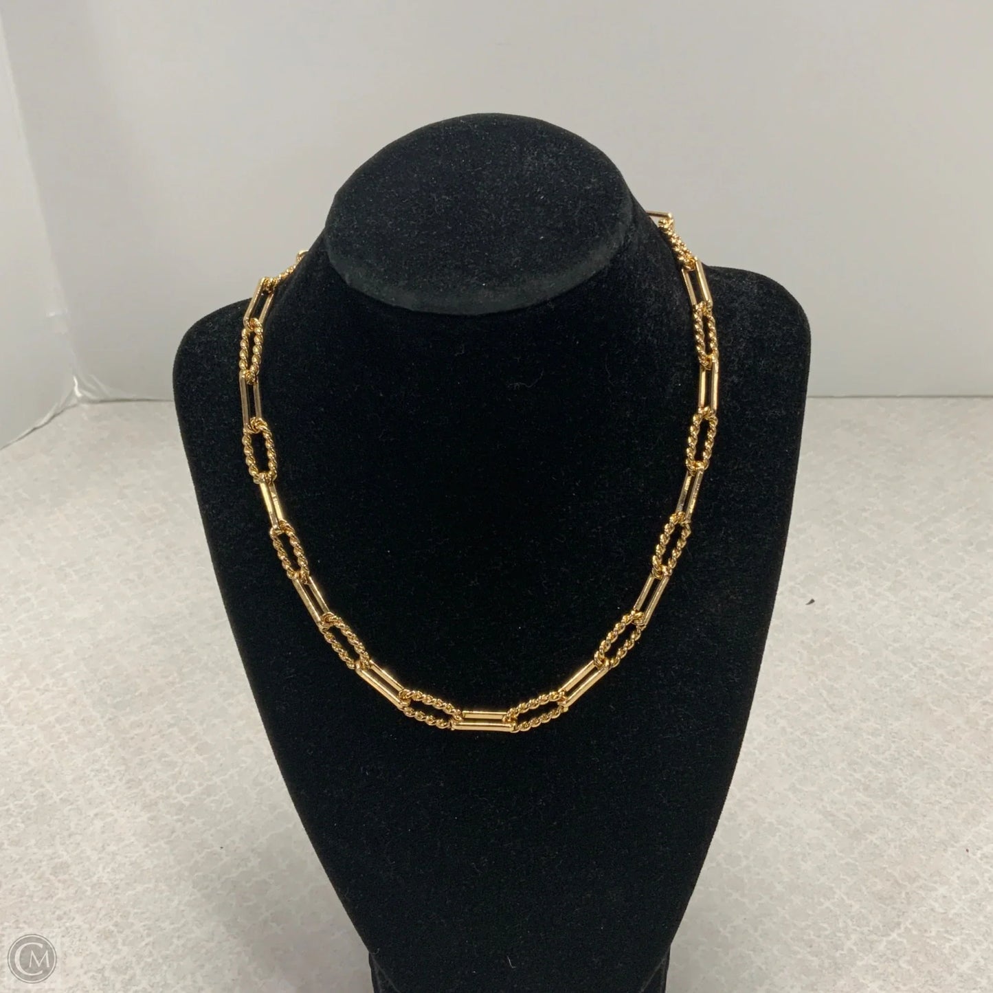 Necklace Chain By Loft