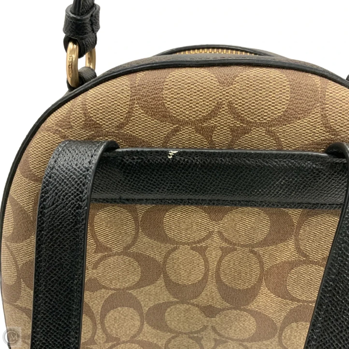 Backpack Designer By Coach, Size: Medium