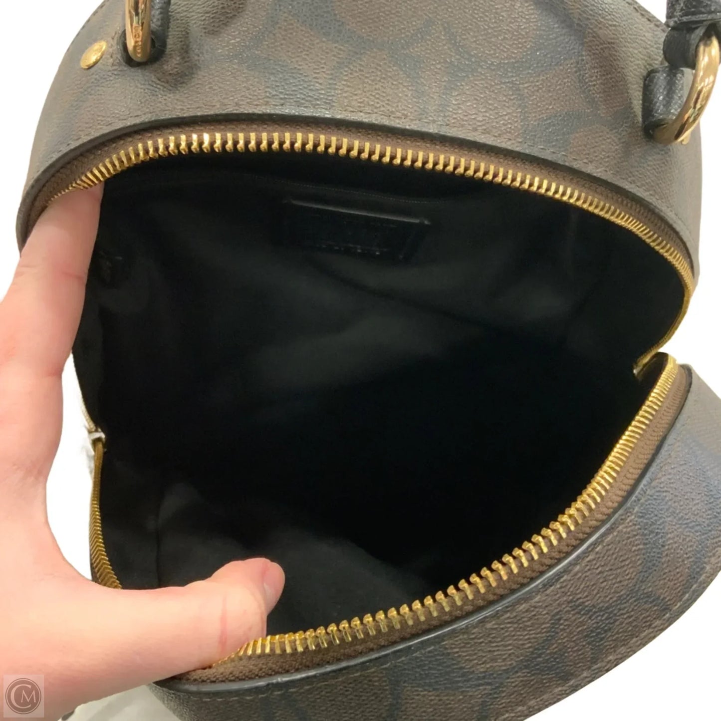 Backpack Designer By Coach, Size: Medium