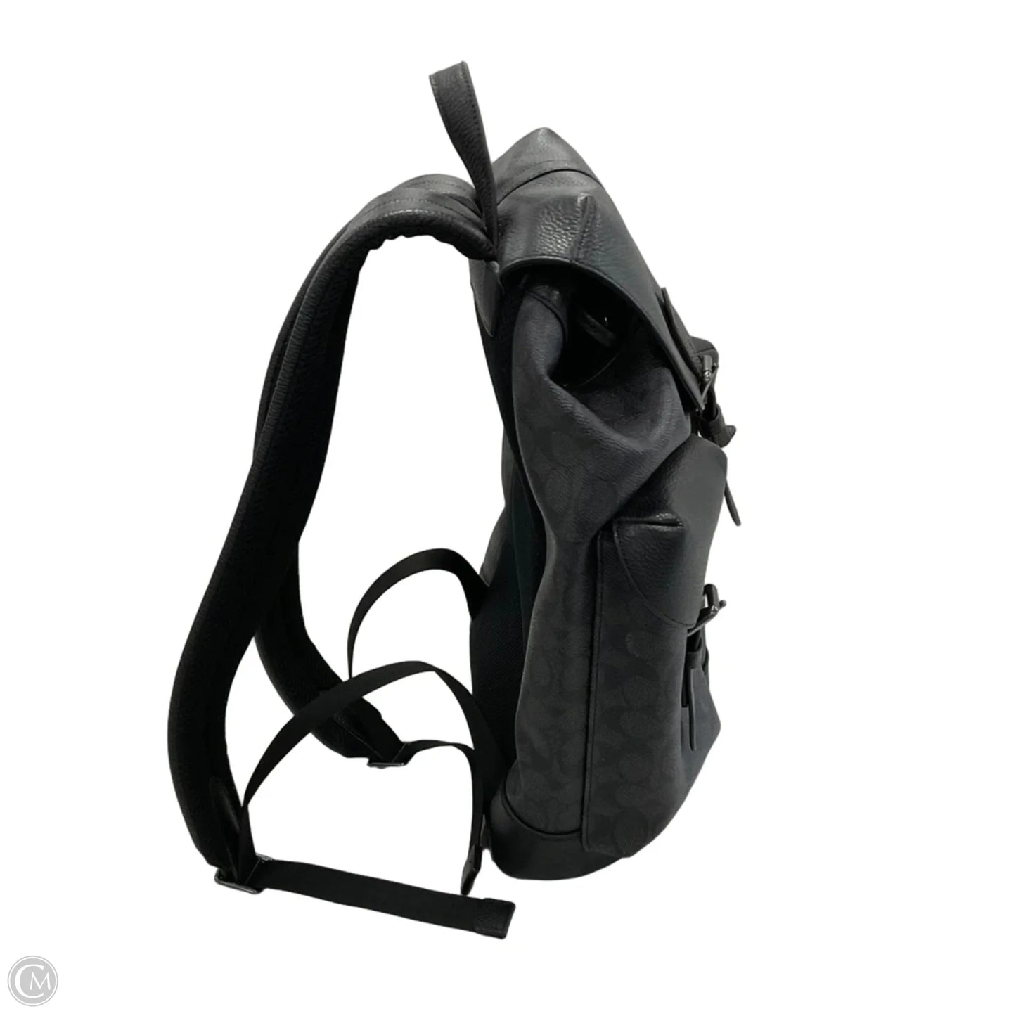 Backpack Designer By Coach, Size: Large