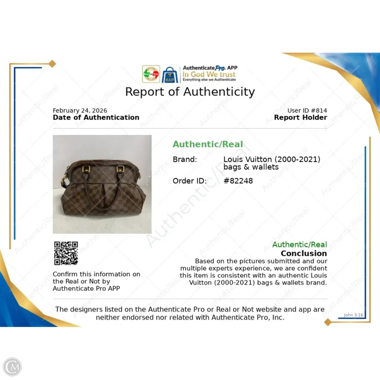 Handbag Luxury Designer By Louis Vuitton, Size: Large