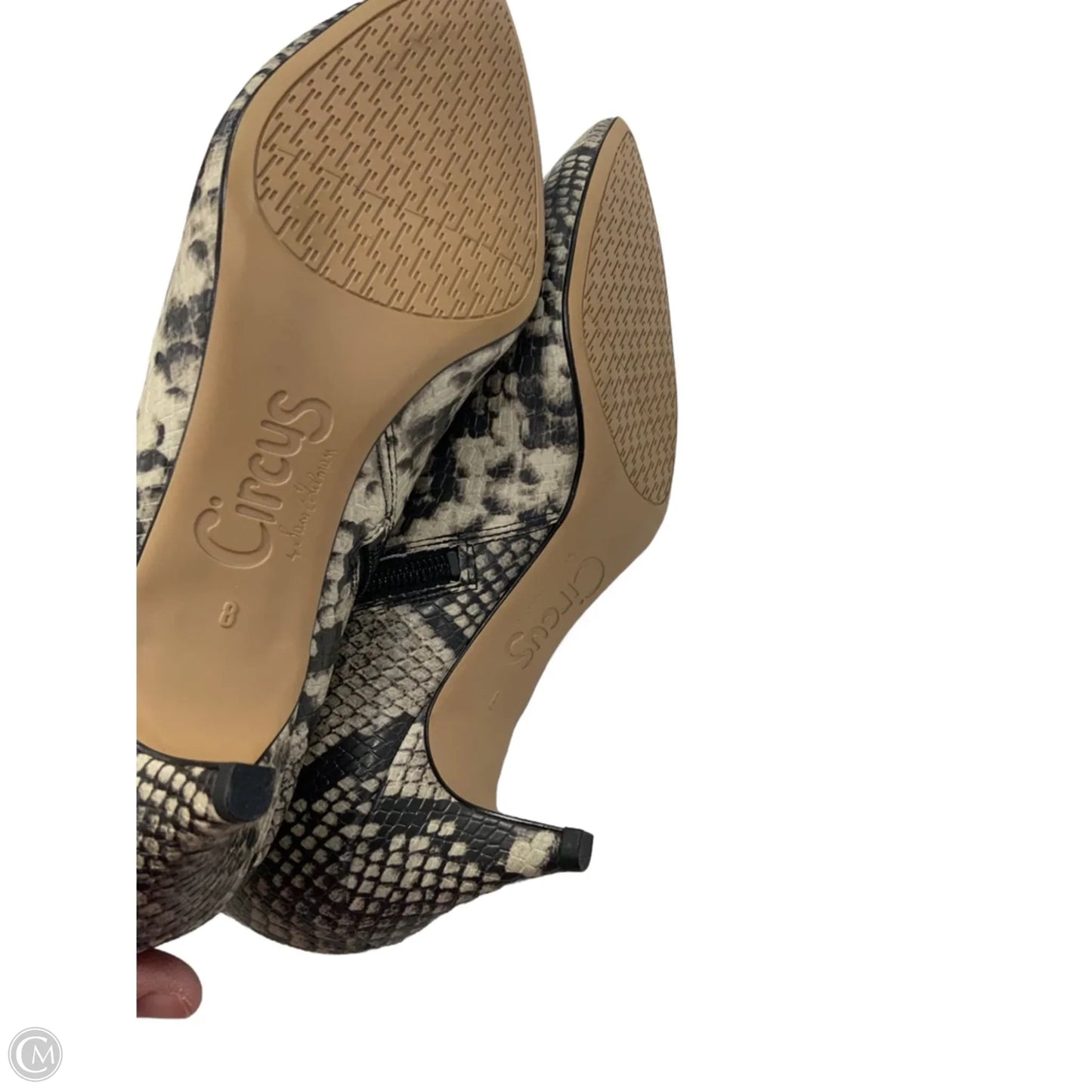 Boots Ankle Heels By Circus By Sam Edelman In Black, Size: 8