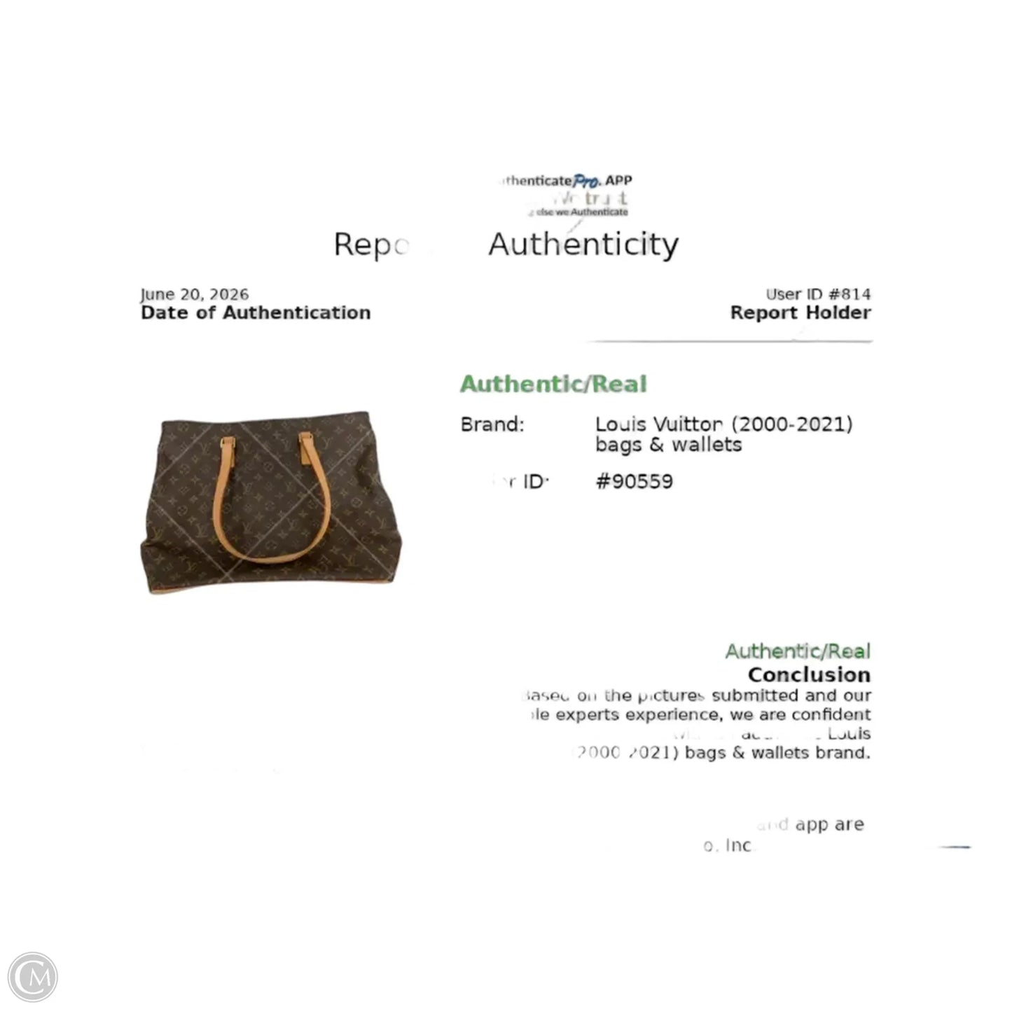 Handbag Luxury Designer By Louis Vuitton, Size: Large