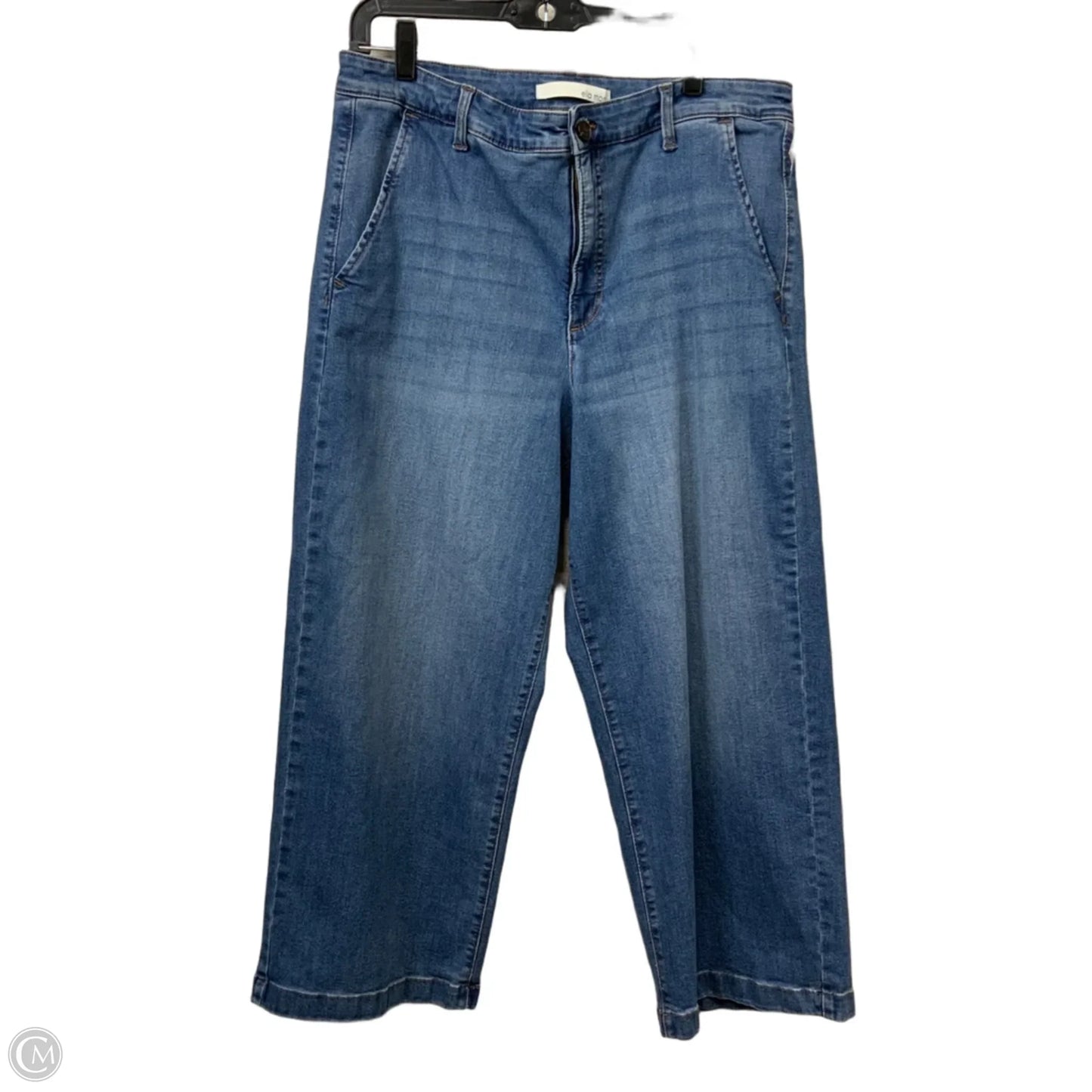 Jeans Wide Leg By Ella Moss In Blue Denim, Size: 14