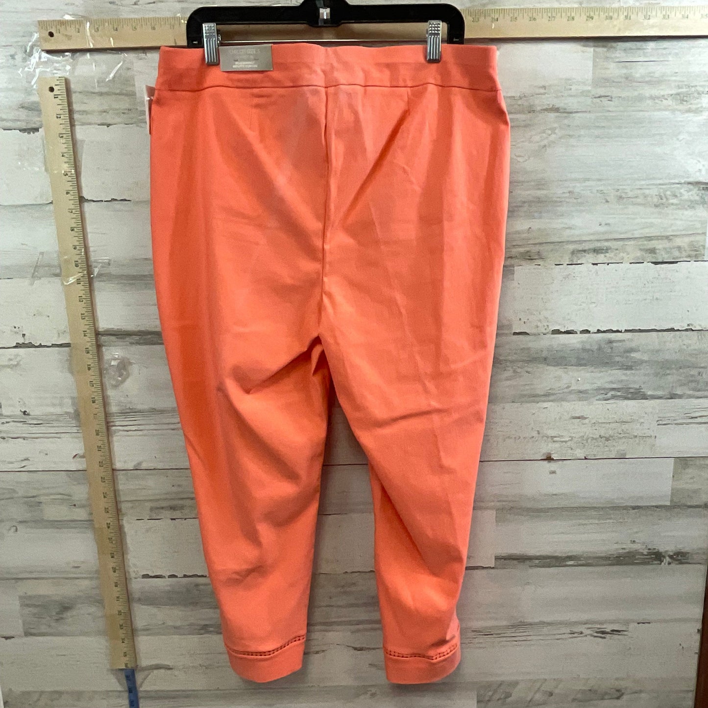 Coral Pants Other Chicos, Size 16