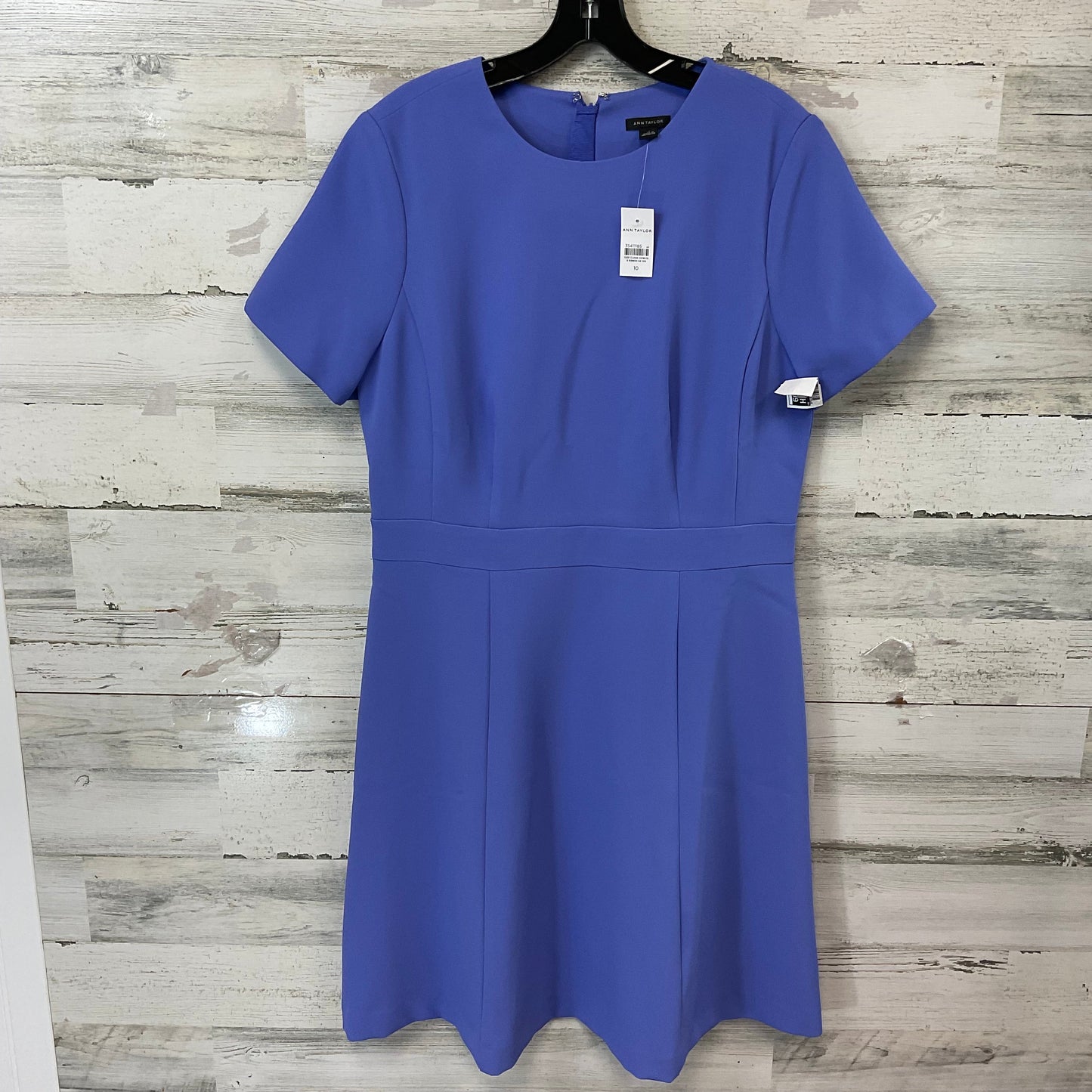 Dress Casual Short By Ann Taylor In Blue, Size: M