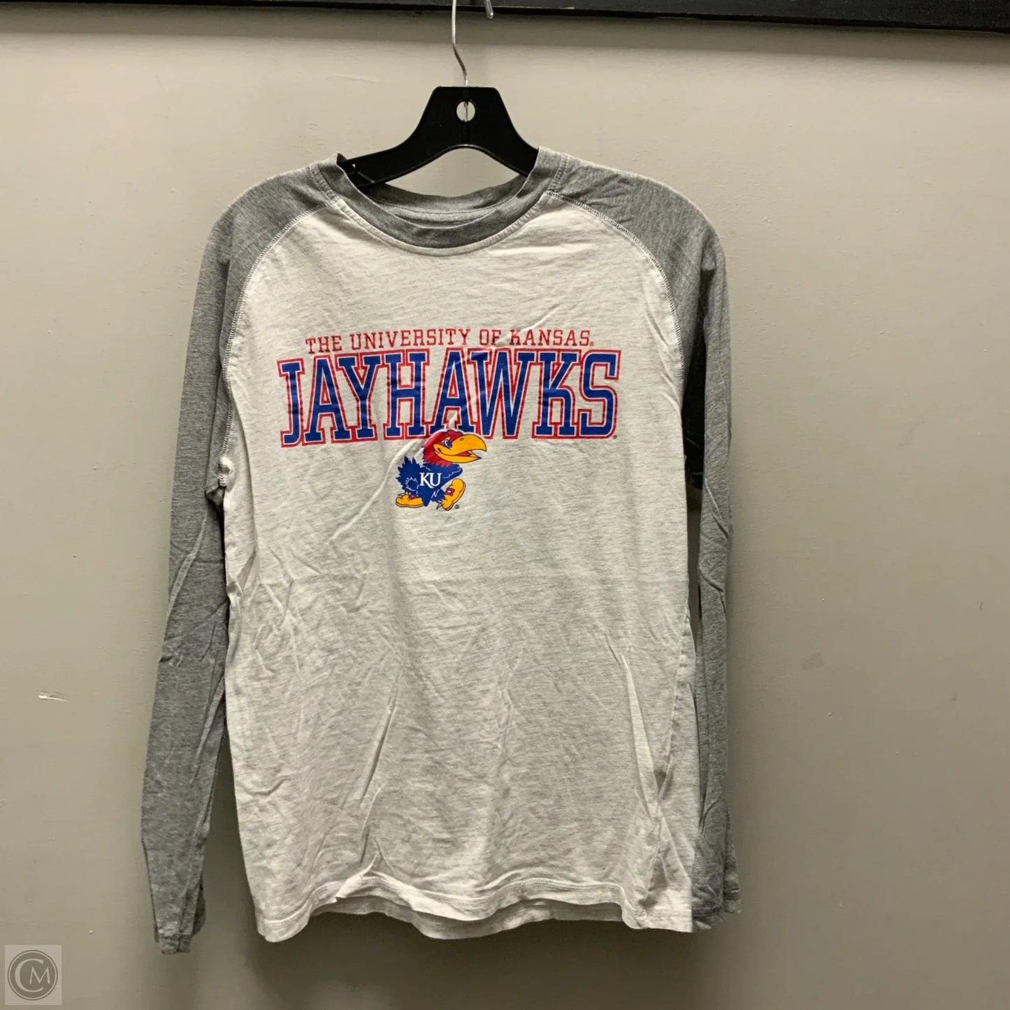 Top Long Sleeve Basic By Champion In Grey, Size: M