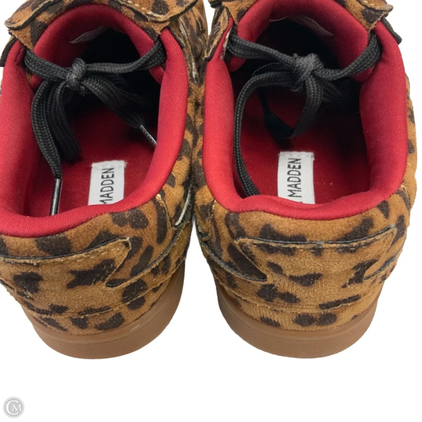 Shoes Sneakers By Steve Madden In Animal Print, Size: 6.5