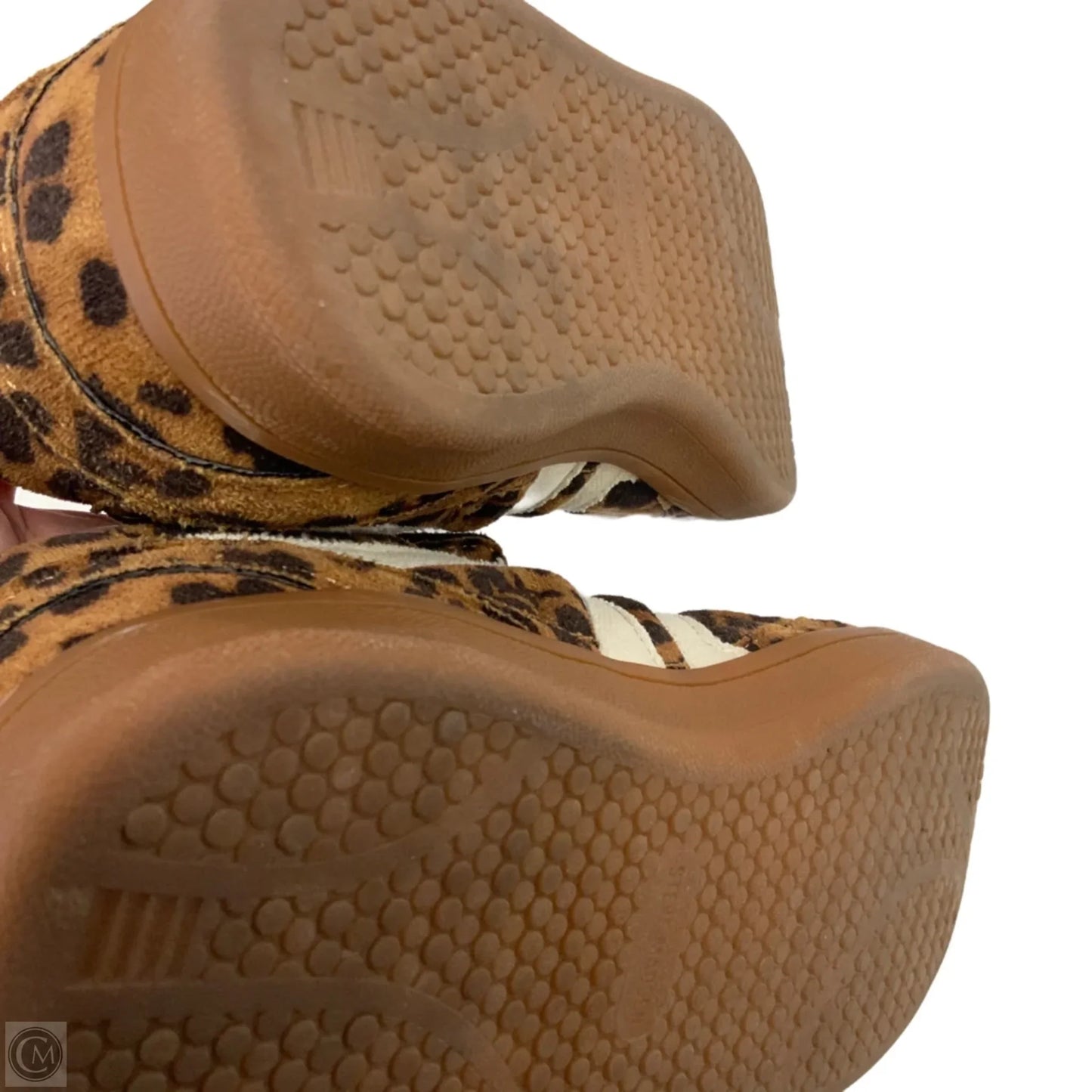 Shoes Sneakers By Steve Madden In Animal Print, Size: 6.5