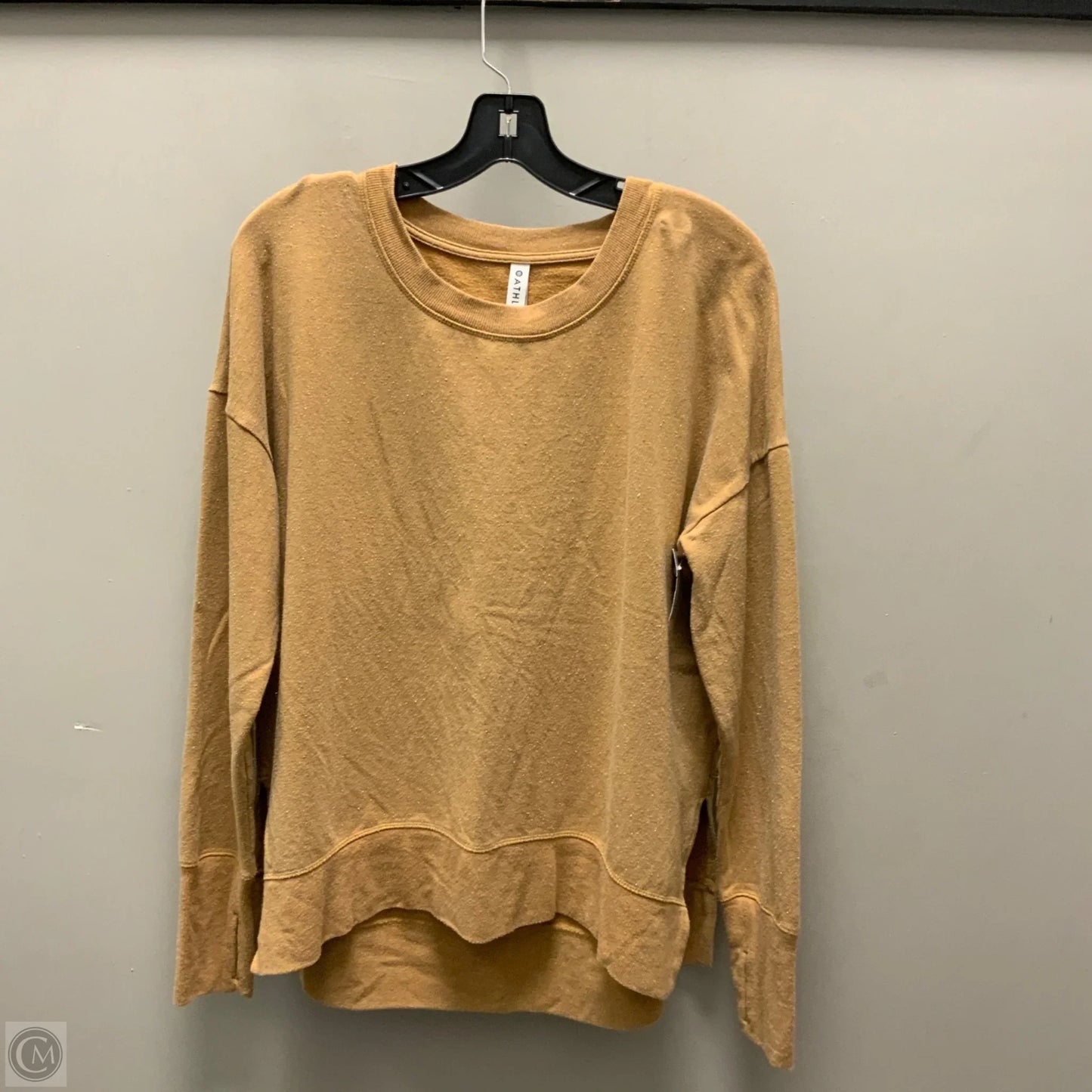 Athletic Top Long Sleeve Crewneck By Athleta In Brown, Size: M