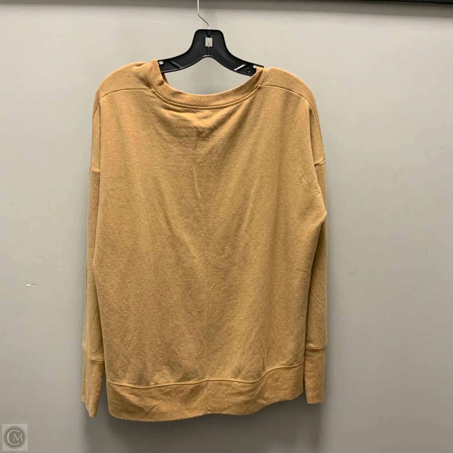 Athletic Top Long Sleeve Crewneck By Athleta In Brown, Size: M