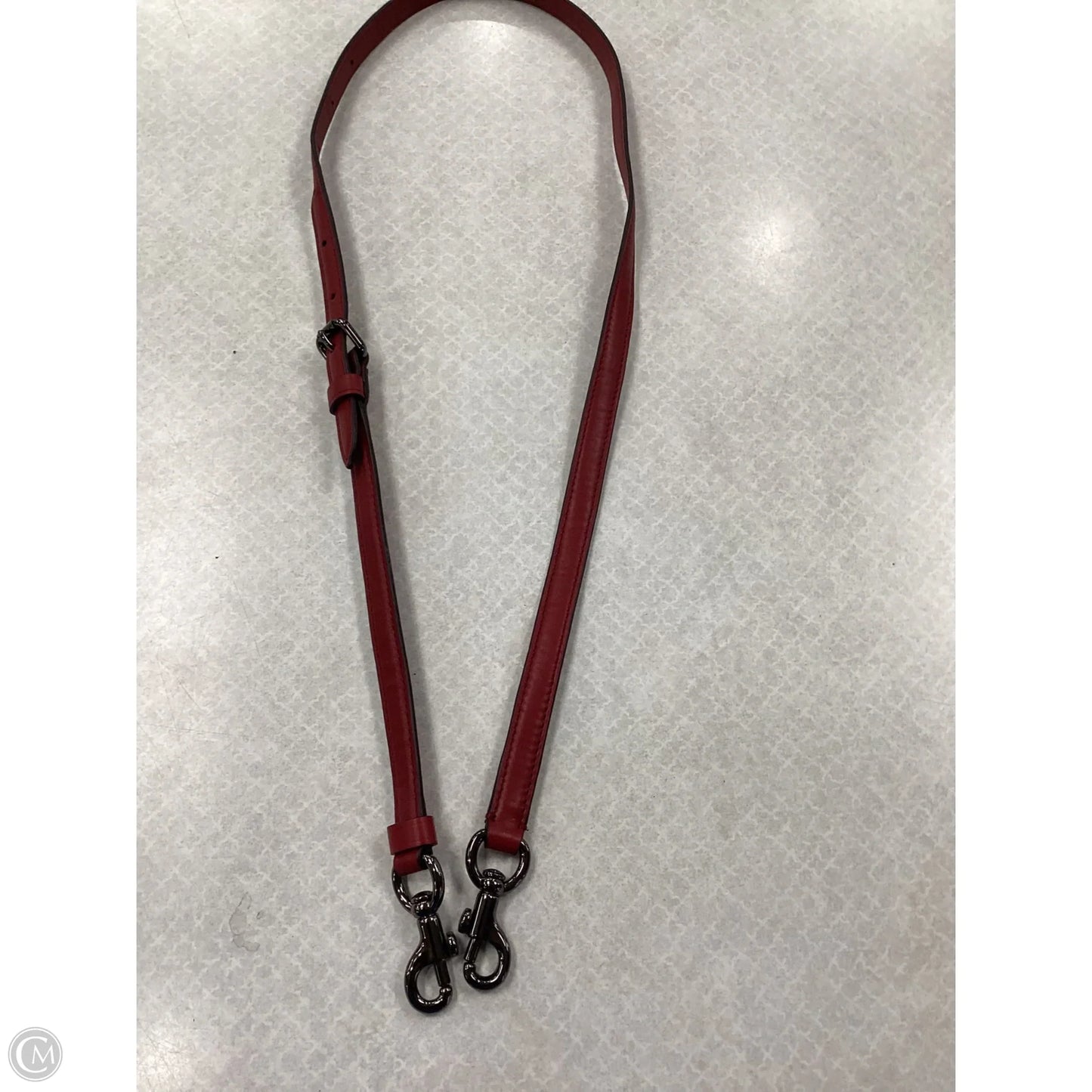 Purse strap By Coach