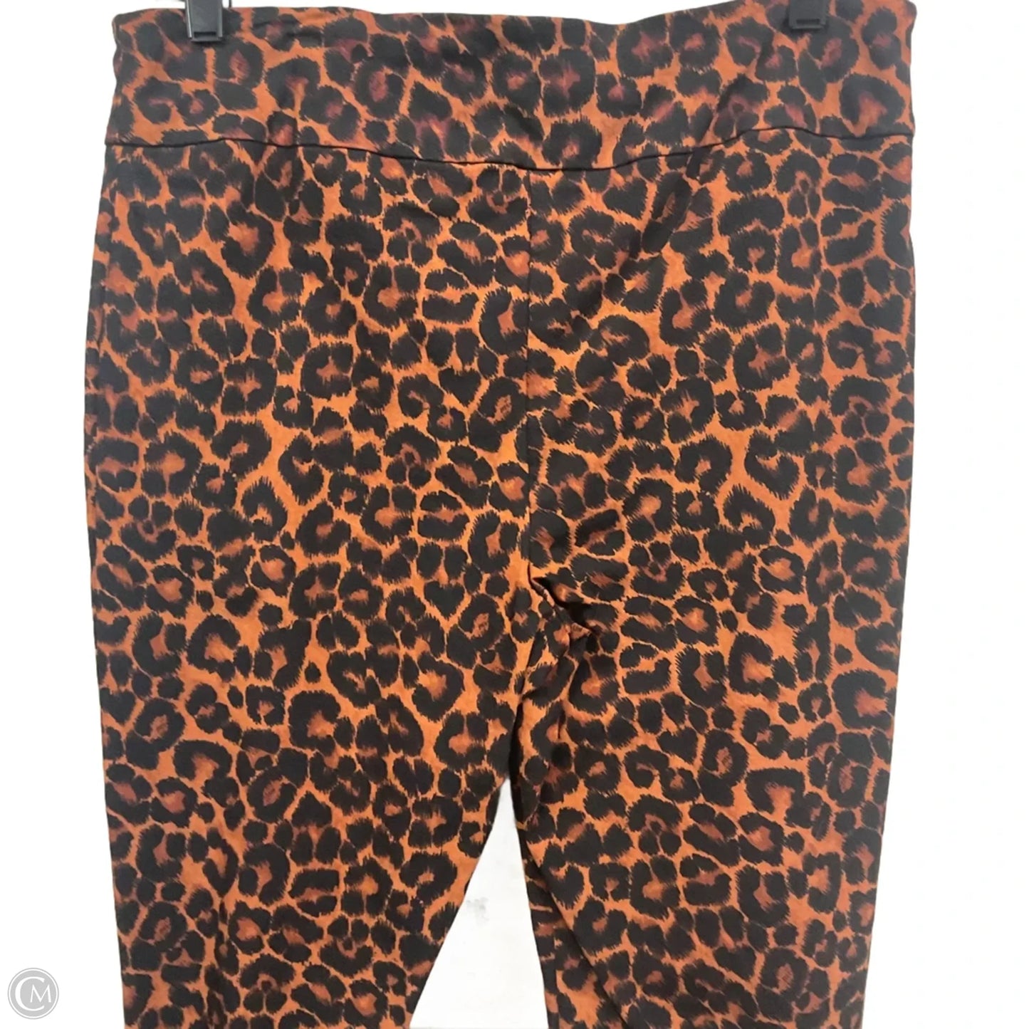 Pants Other By Up! In Animal Print, Size: 12