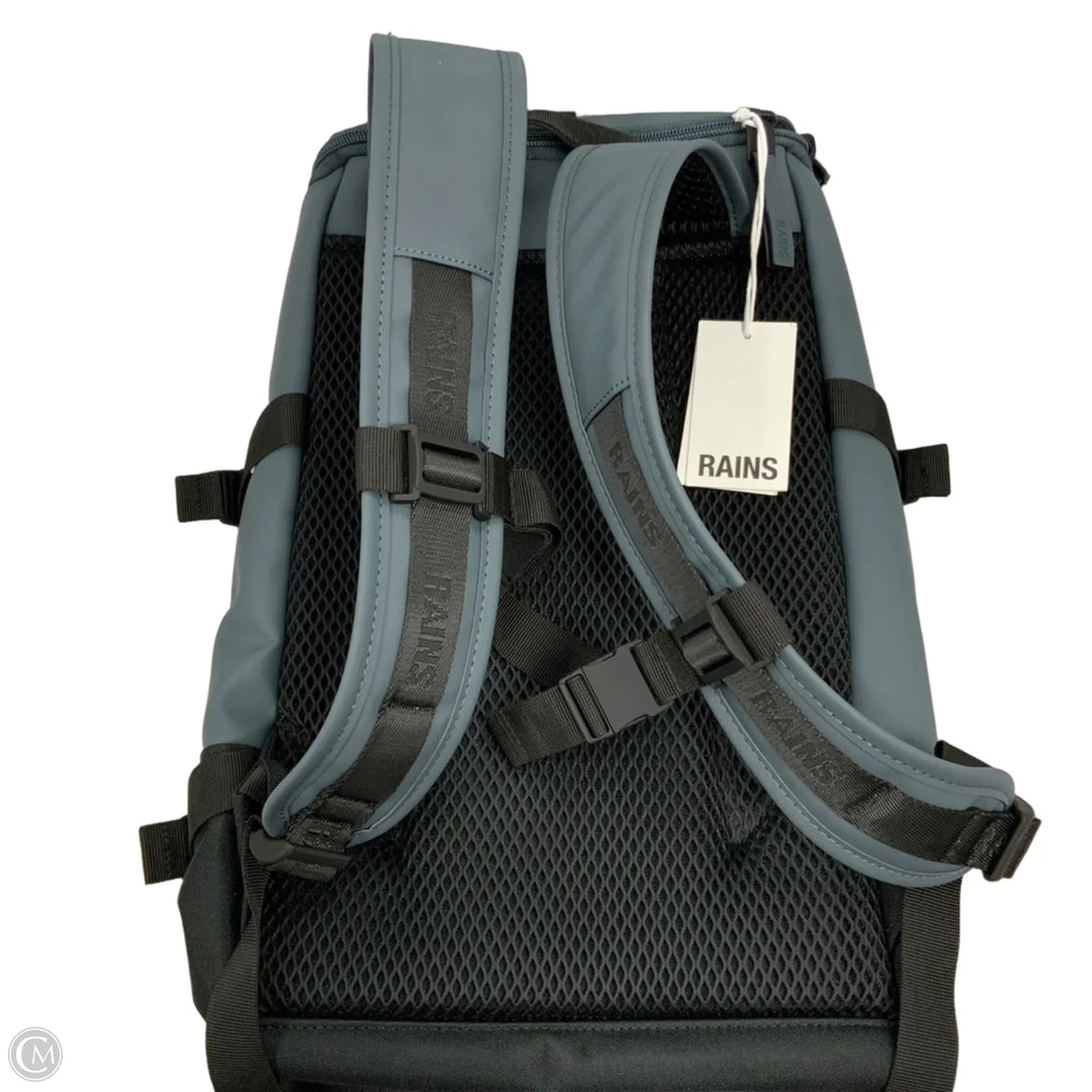 Backpack By Rains, Size: Large