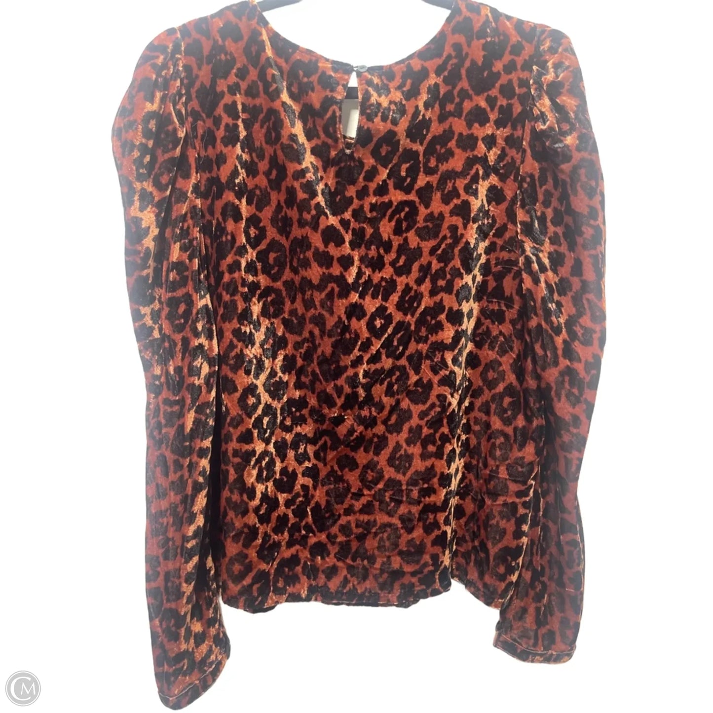 Top Long Sleeve By Dolan Left Coast In Animal Print, Size: Xl