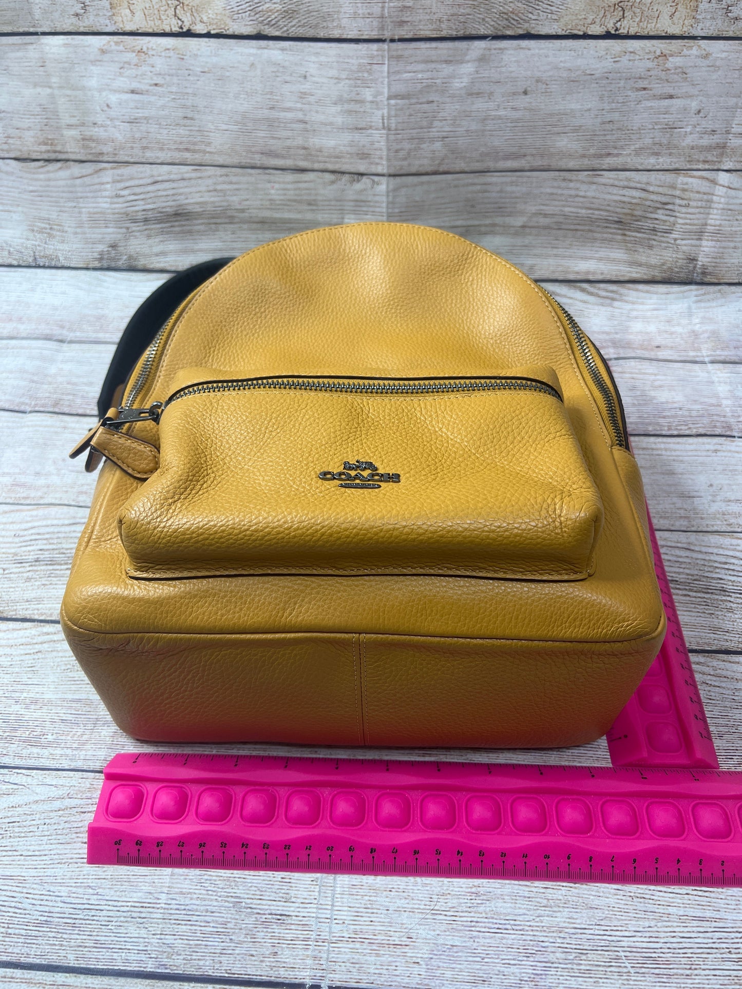 Backpack Designer By Coach  Size: Large