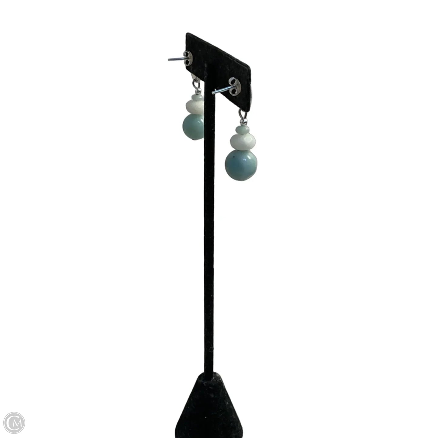 Earrings Dangle/drop By Clothes Mentor