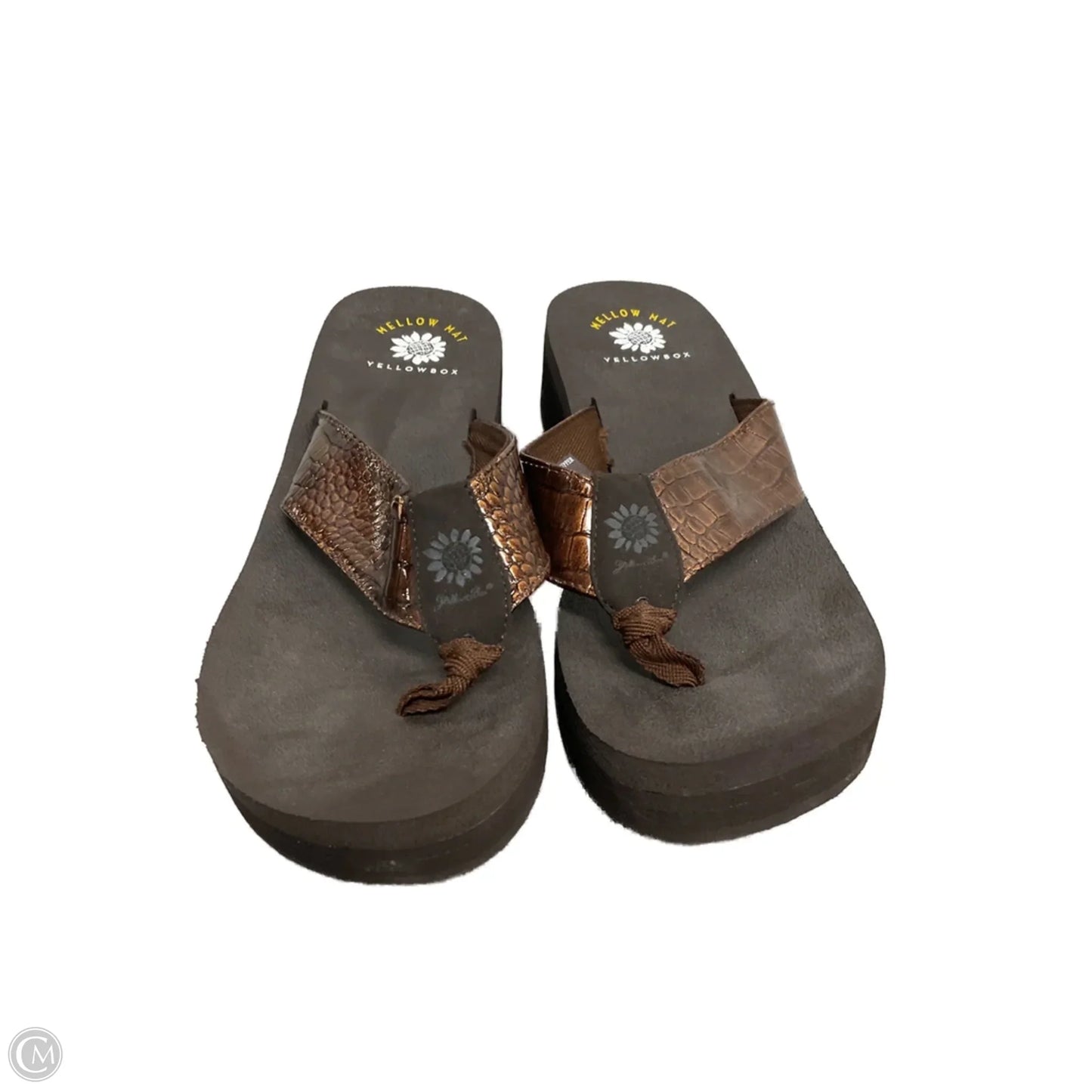 Sandals Flip Flops By Yellow Box In Brown, Size: 8.5
