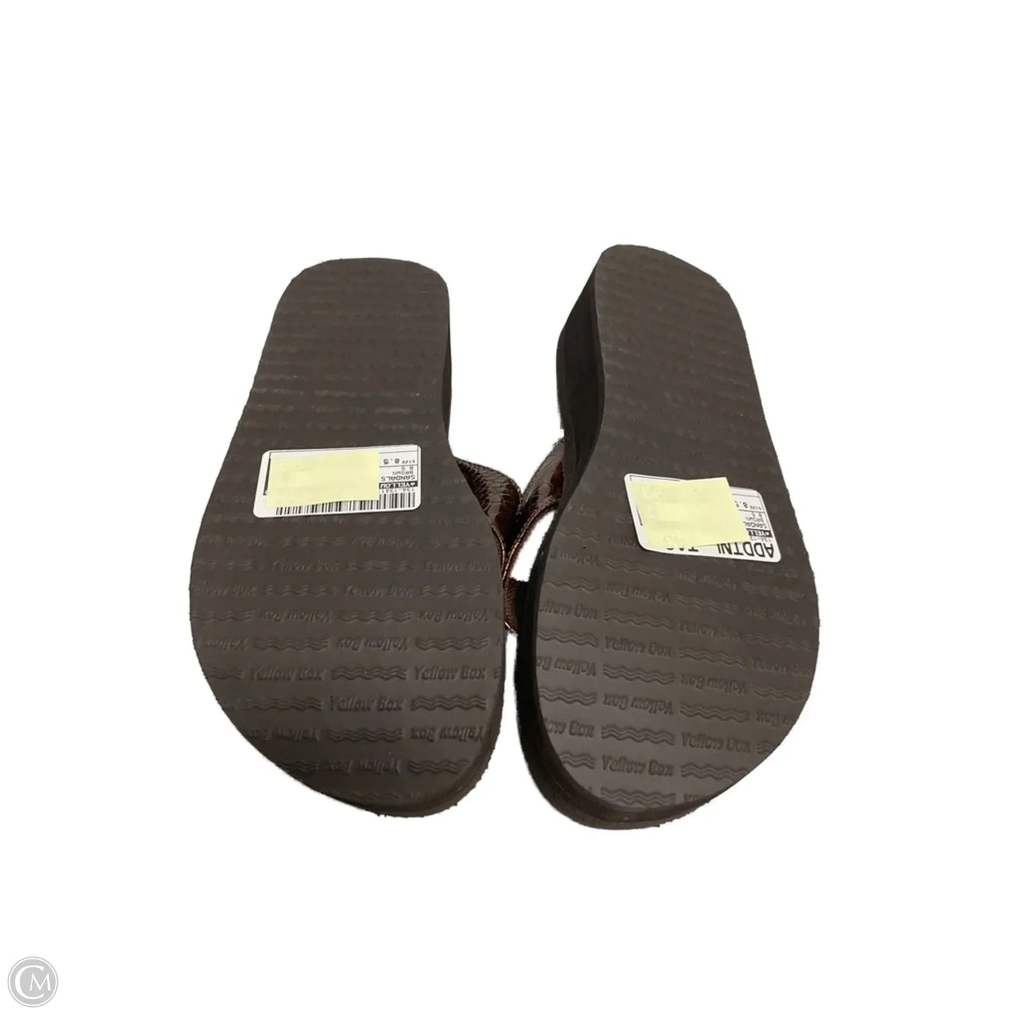 Sandals Flip Flops By Yellow Box In Brown, Size: 8.5