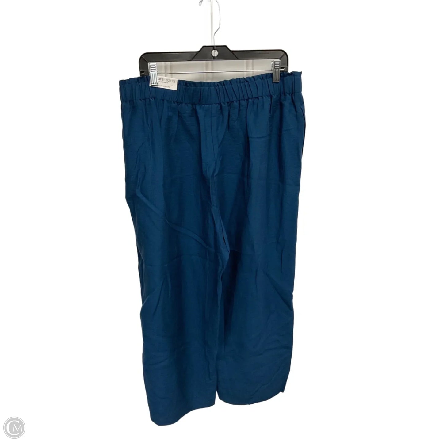 Pants Cropped By Chicos In Blue, Size: 14